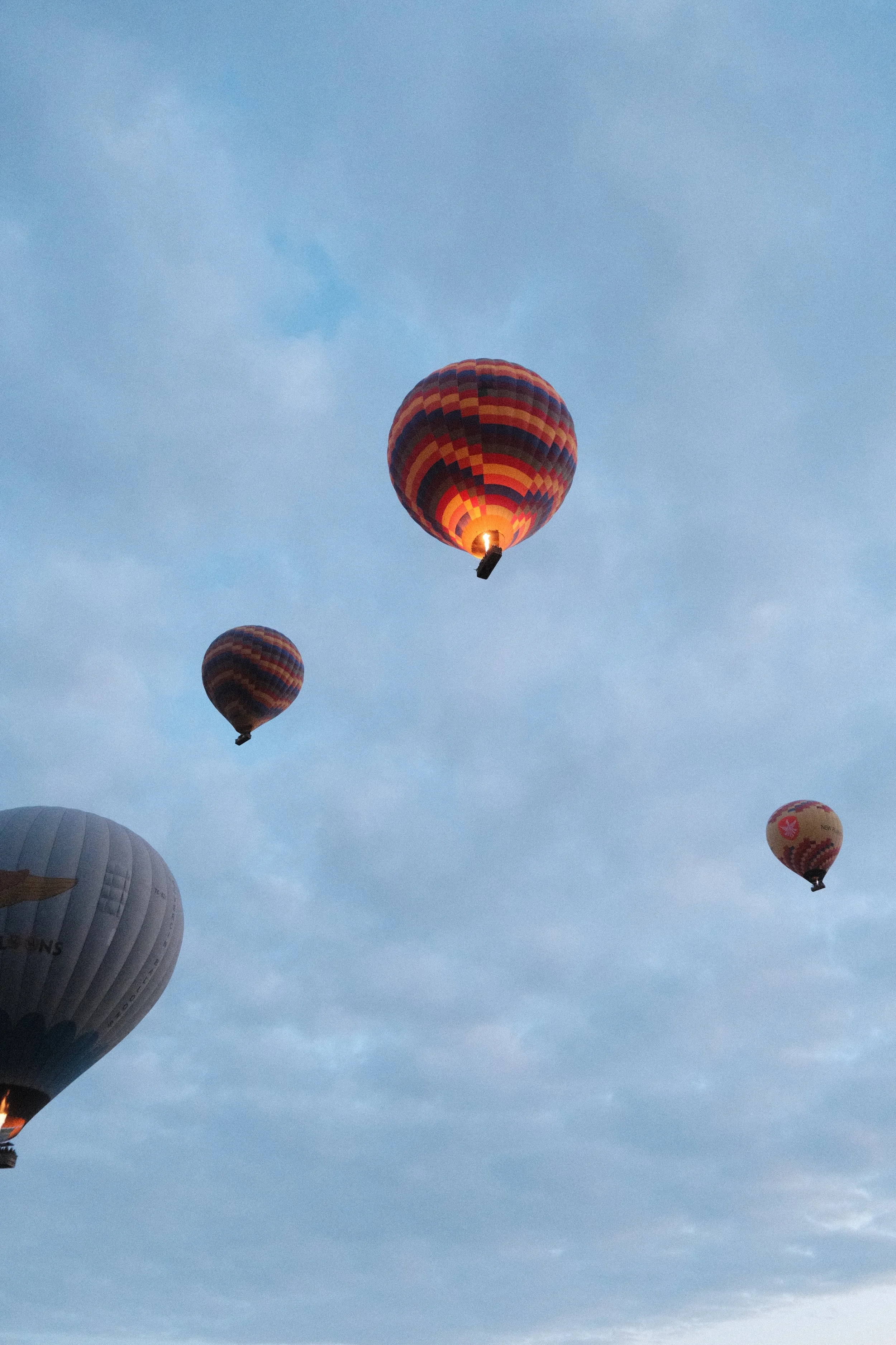 DSCF1572.JPG
