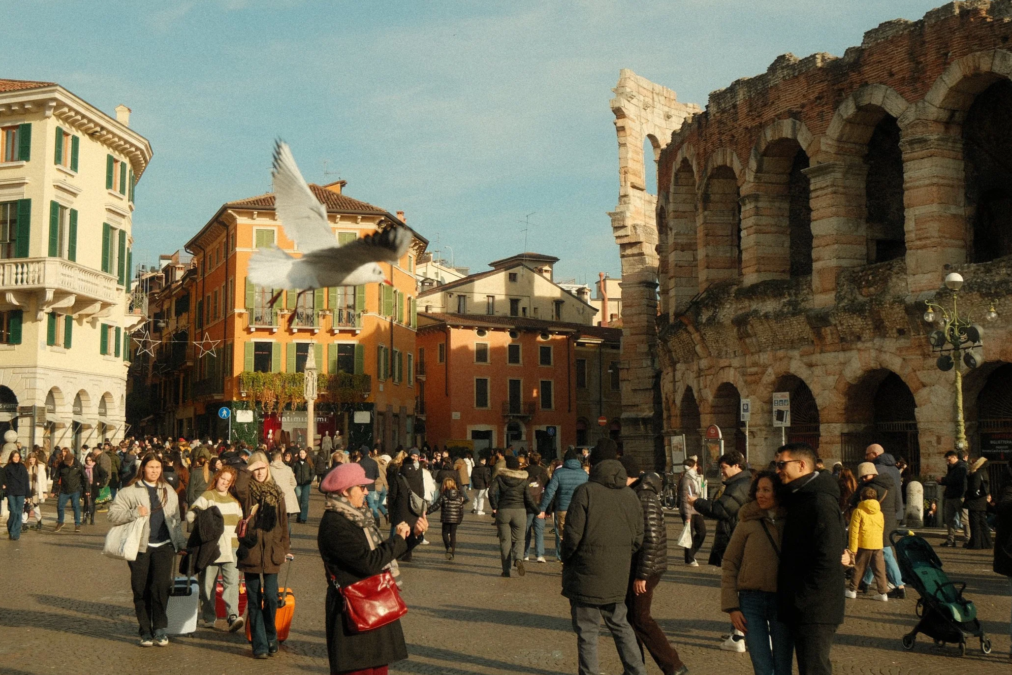 Bologna & Verona