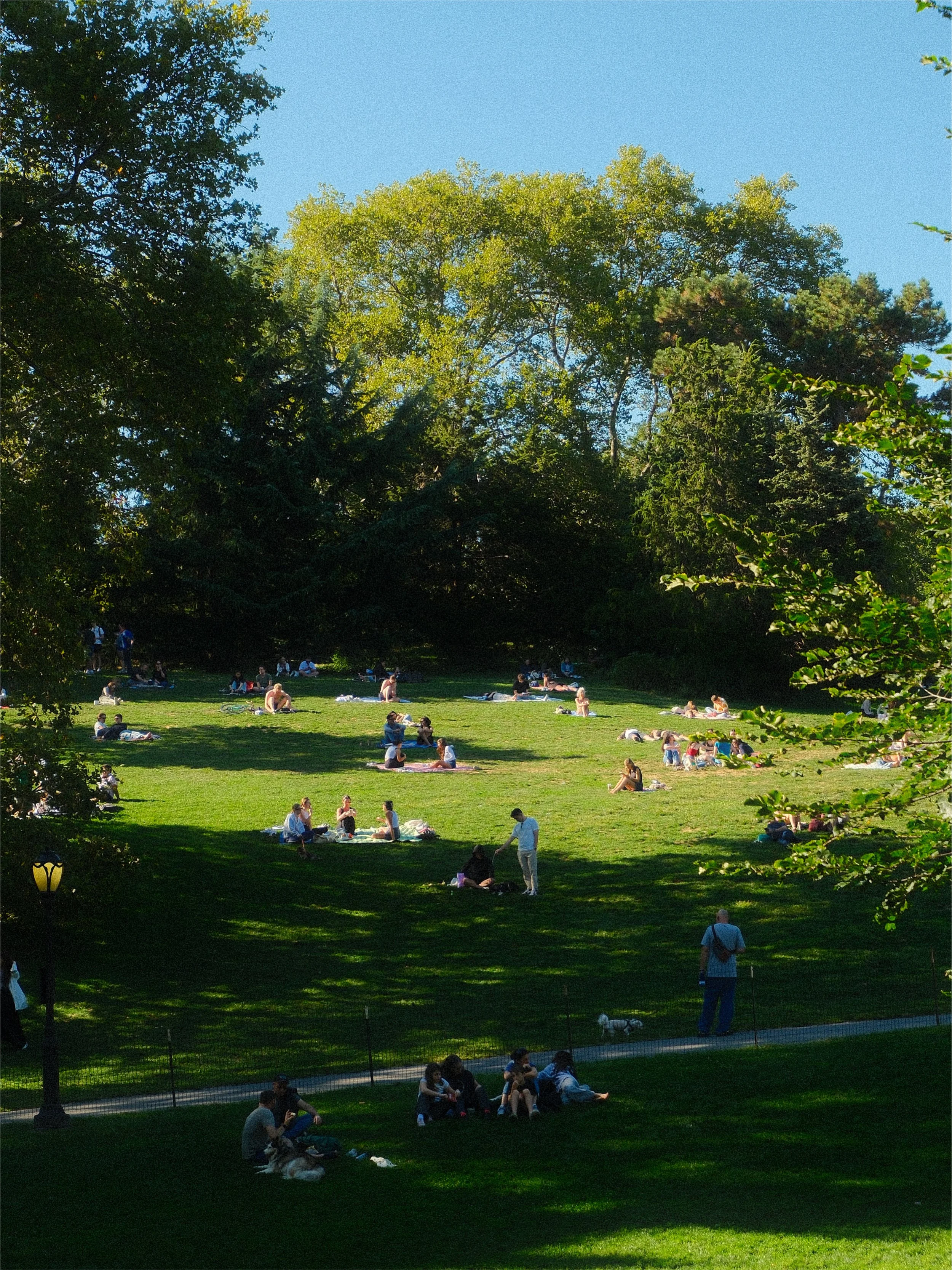 Central Park