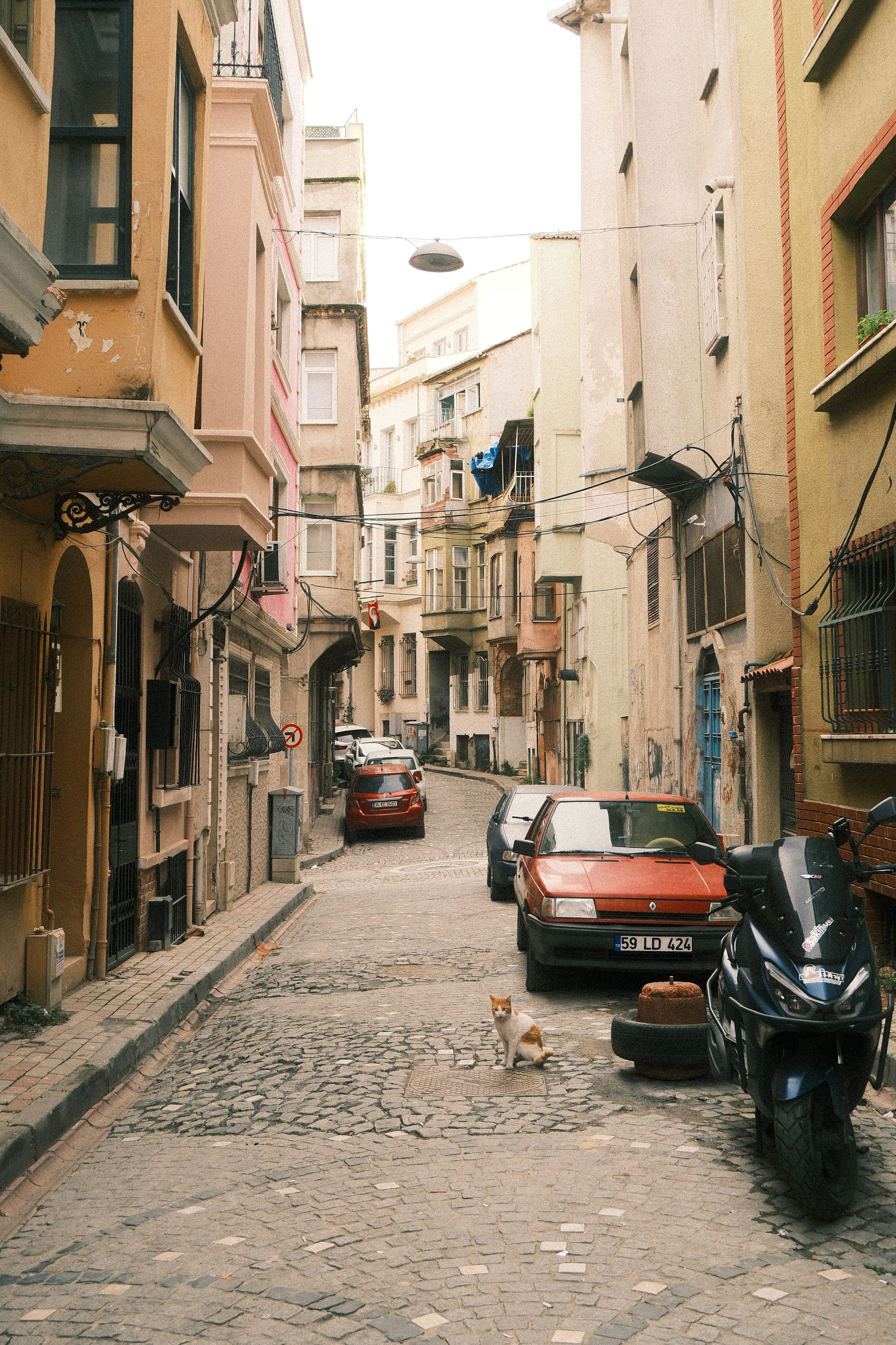 DSCF1716.JPG