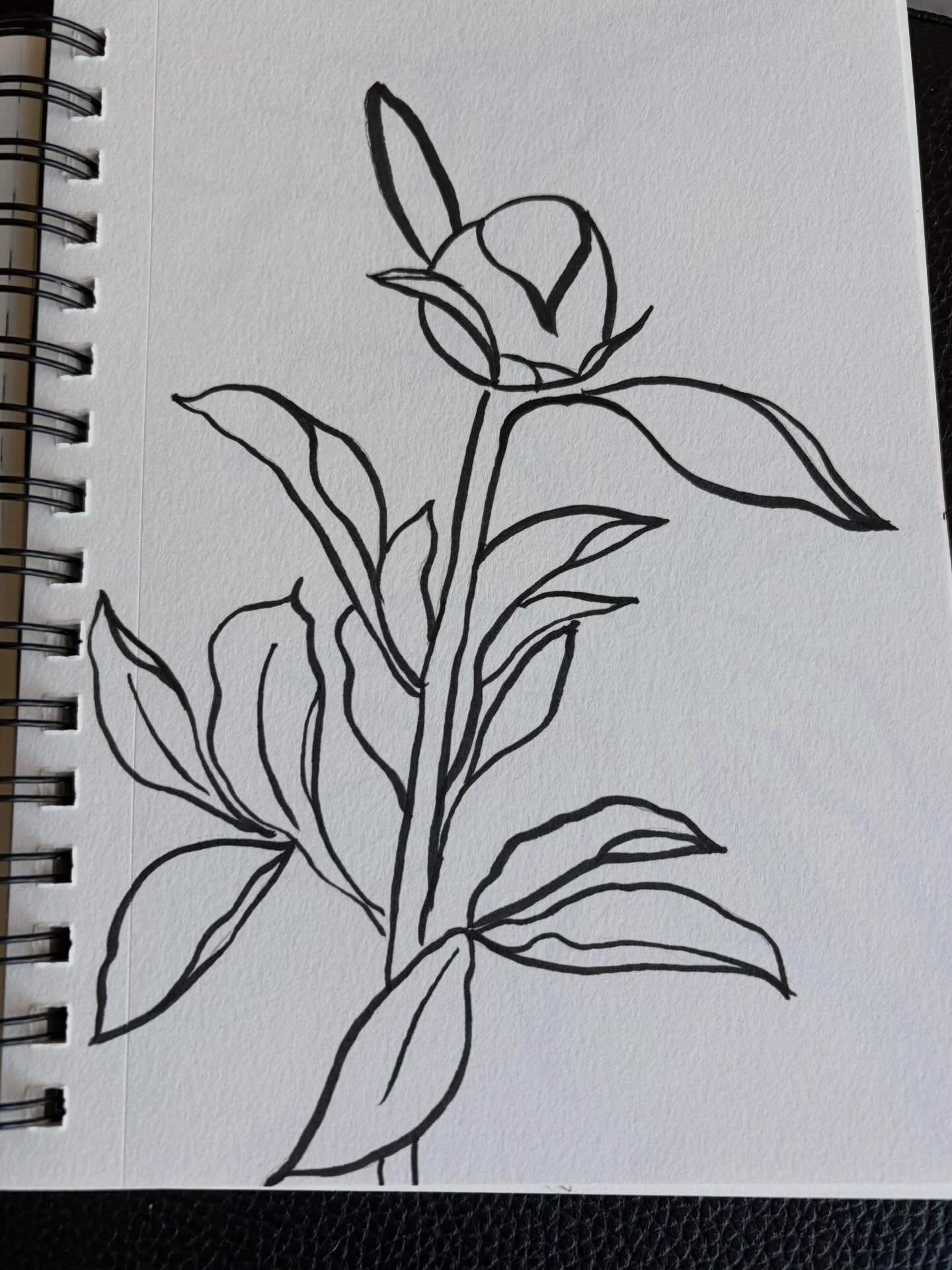 Spent some time today drawing peonies when the power went out today and my laptop was down to 30% and I wasn&rsquo;t sure when I would be able to charge again. I&rsquo;ve taken so many photos of peonies because I love them but hadn&rsquo;t made time 