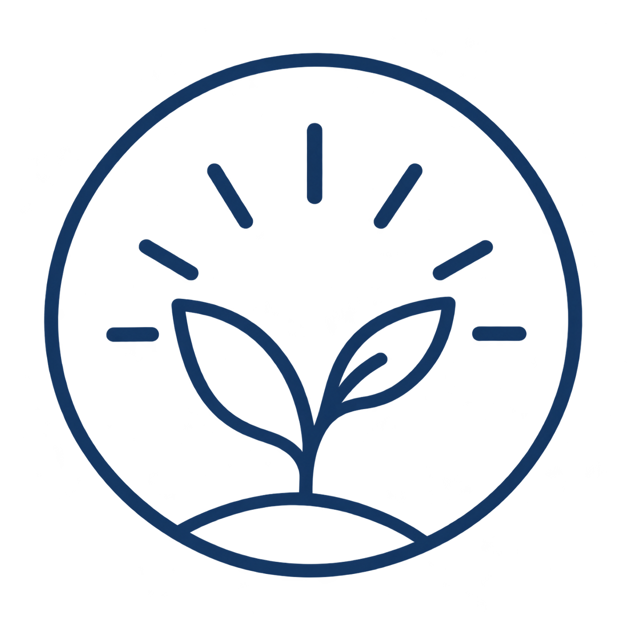 Growing sprout with rays representing personal growth and development