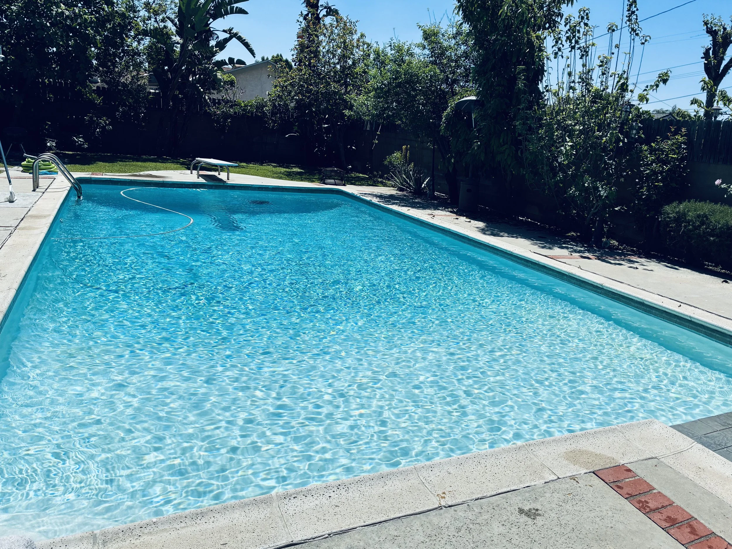 A backyard swimming pool with clear blue water and a concrete deck, surrounded by green trees and bushes, with a sunny sky overhead.