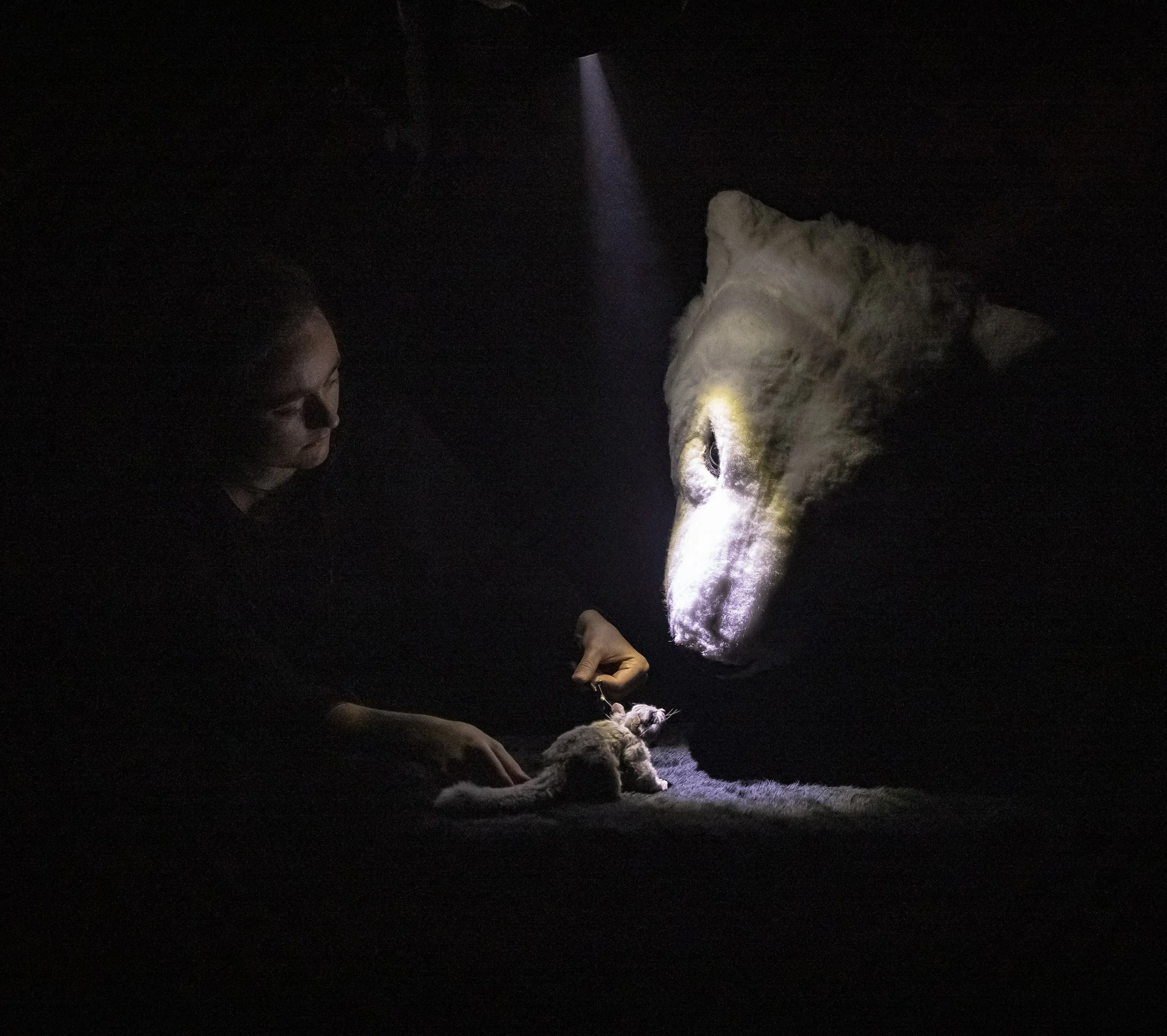Puppeteering in 'Arc' with Erth Visual & Physical