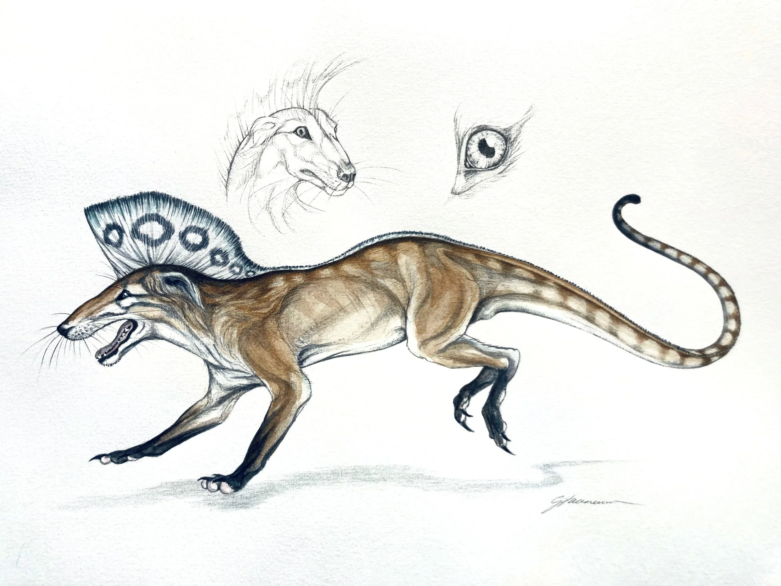 Creature design work