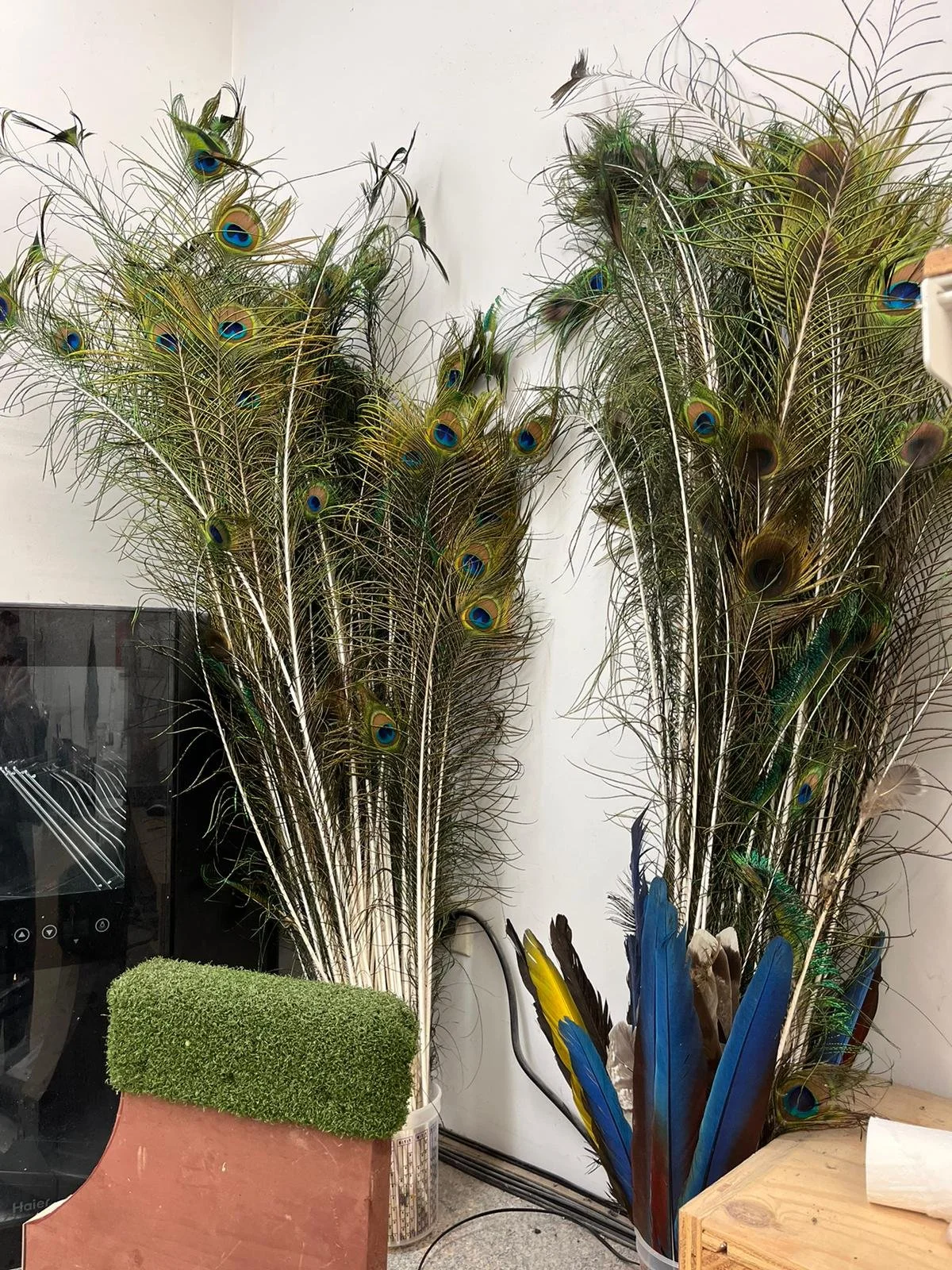 Feather work - Gab Paananen - Sydney Taxidermy and Creature Design