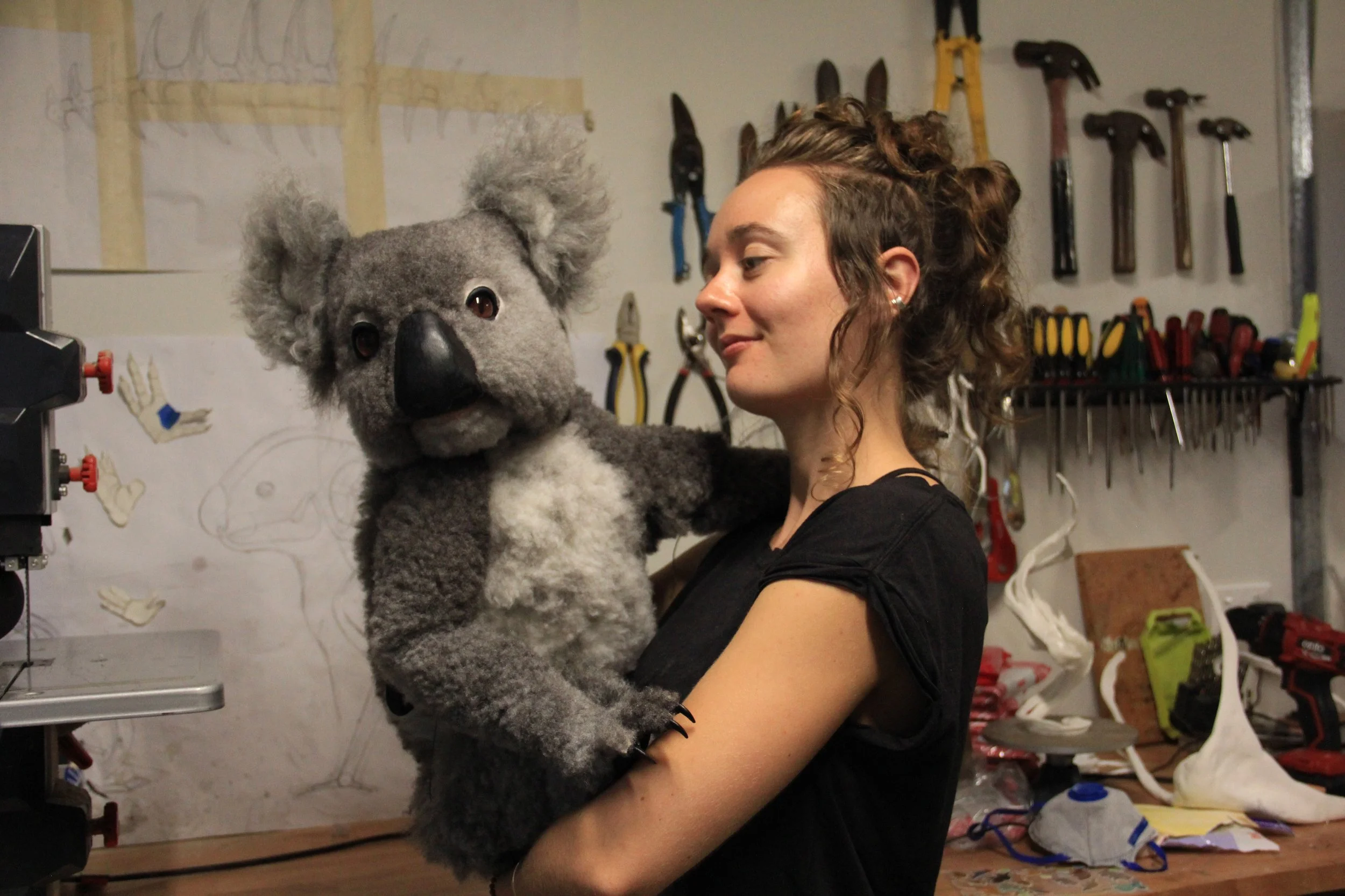 Koala puppets made by Gab Paananen - Sydney Taxidermy and Creature Design