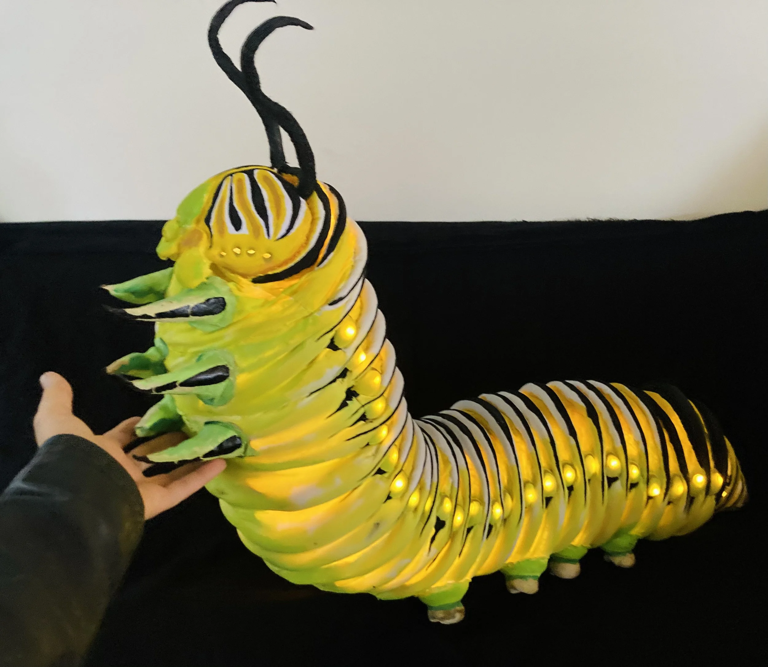 Caterpillar Puppet