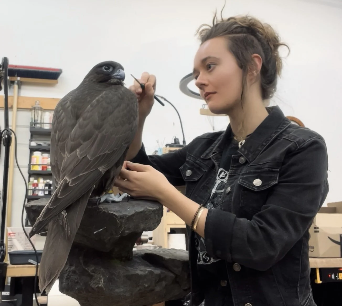 Gab Paananen - Sydney Taxidermy and Creature Design