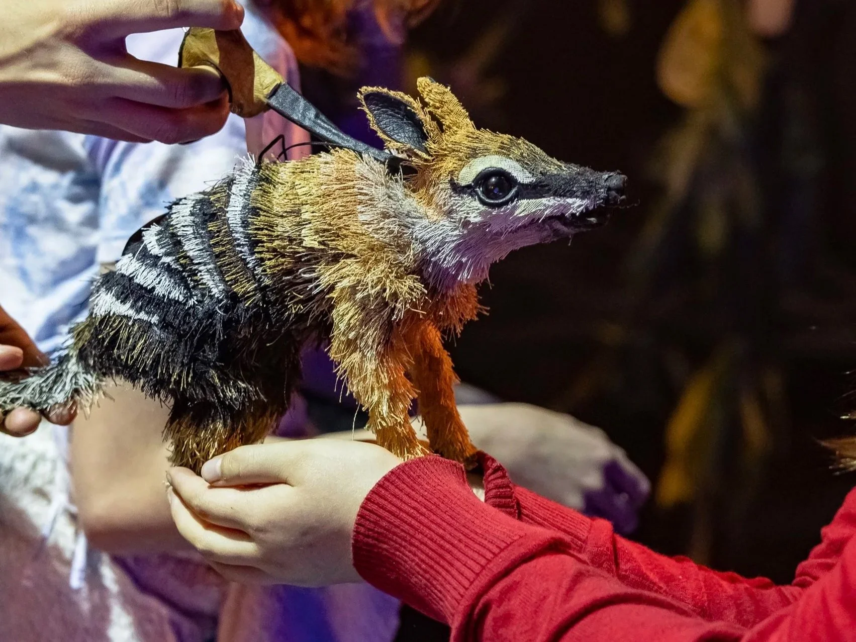 Numbat puppet made from recycled materials by Gab Paananen - Sydney Taxidermy and Creature Design