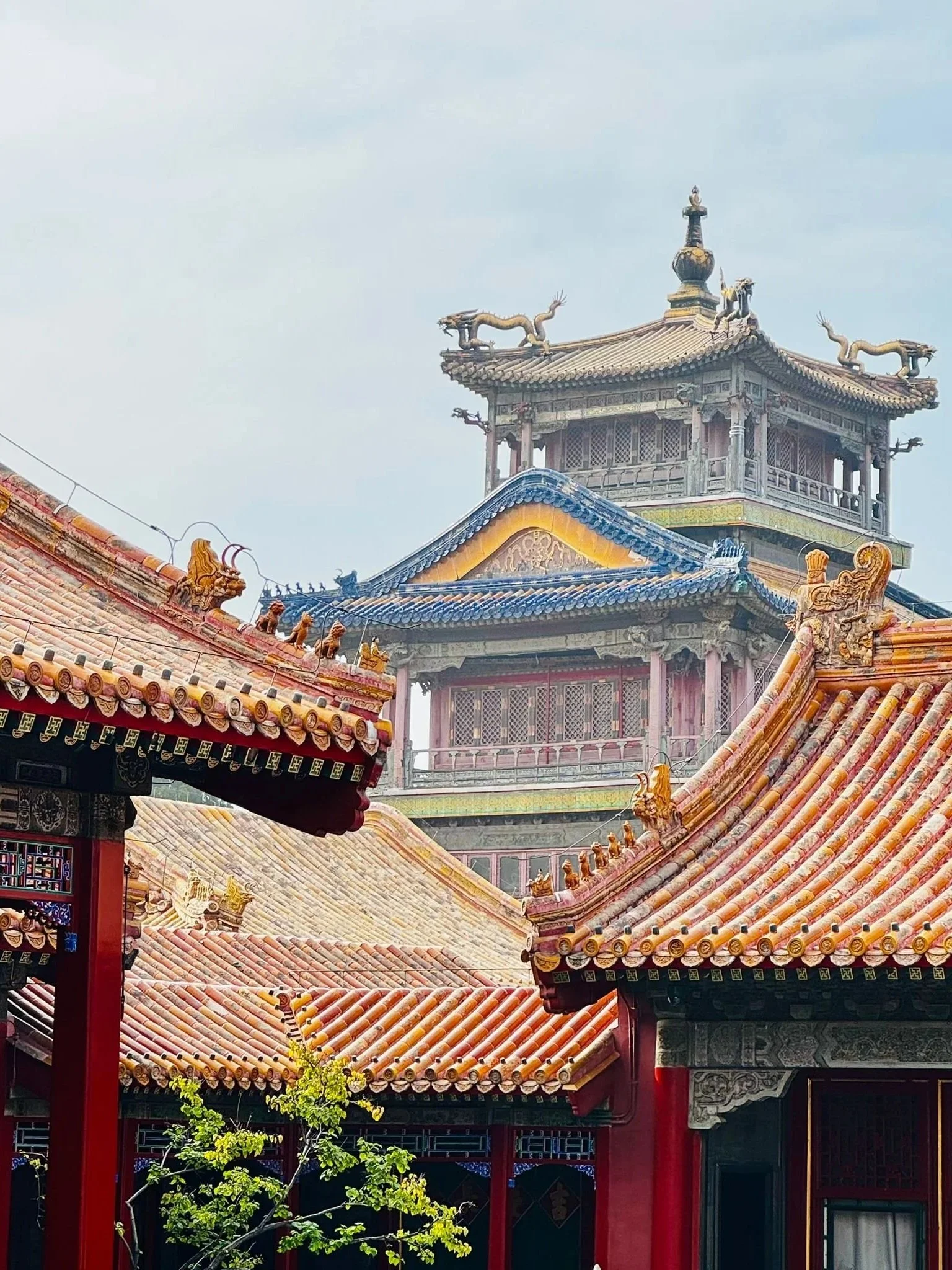 China highlights: Beijing, Xi'an, Lijiang, Guilin &amp; Shanghai