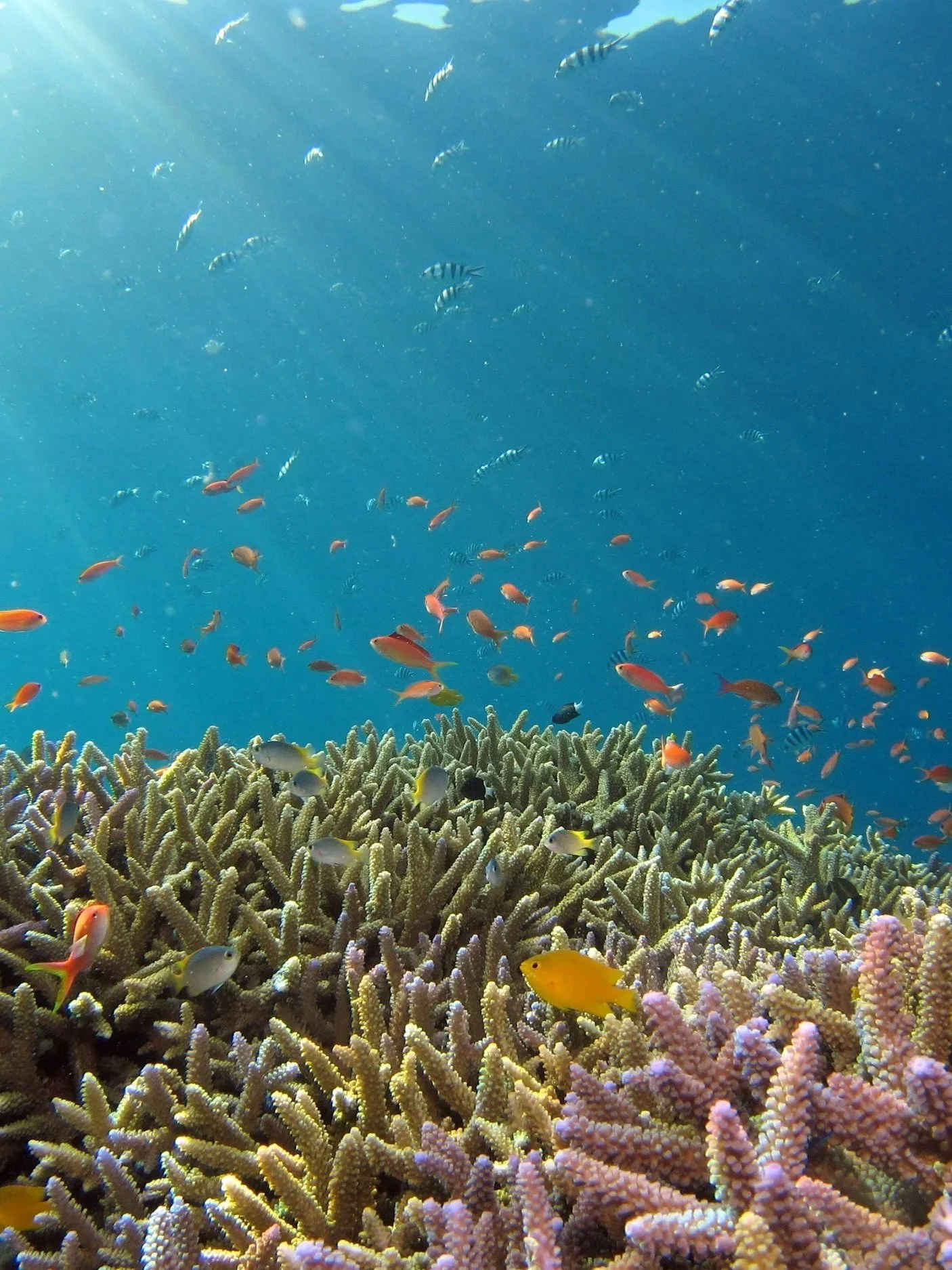 North Sulawesi: Indonesia's Most Underrated Destination 