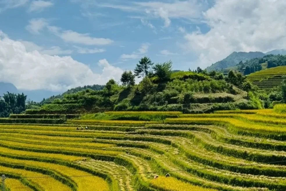walking in vietnam