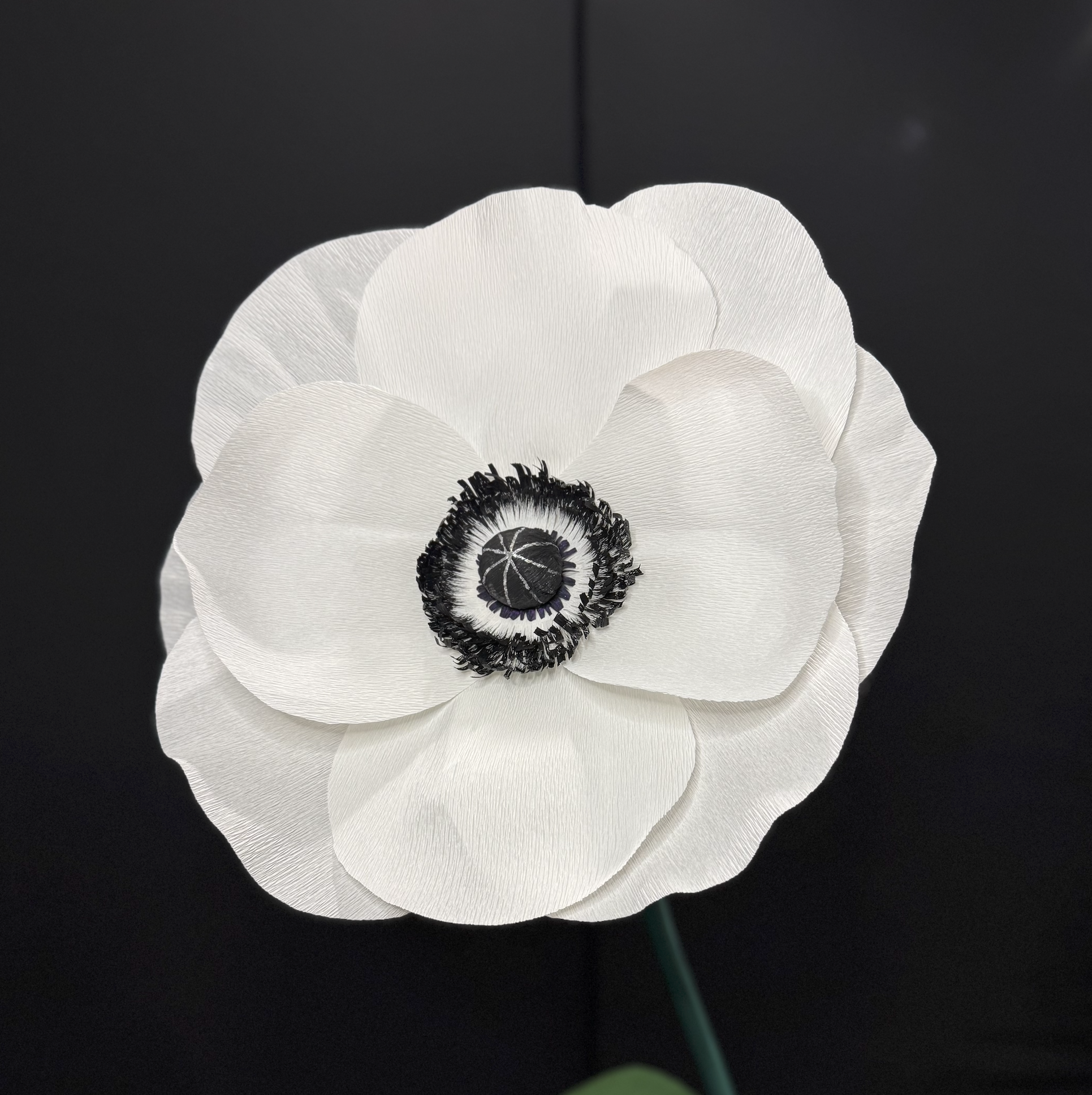 Giant paper flower