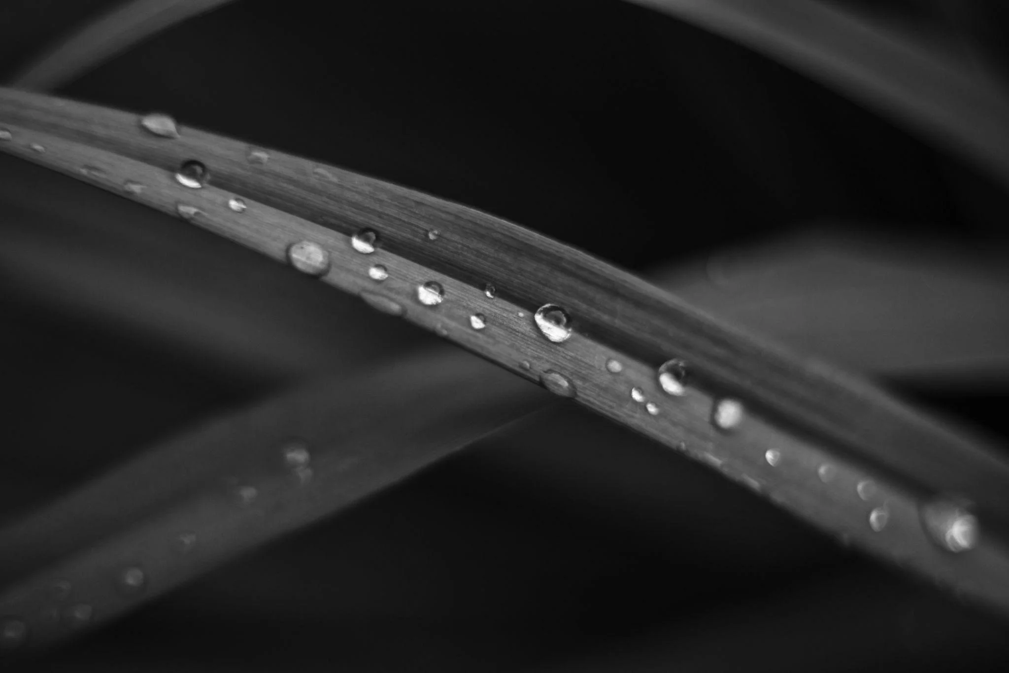 Close-up of a metal surface with water droplets on it.