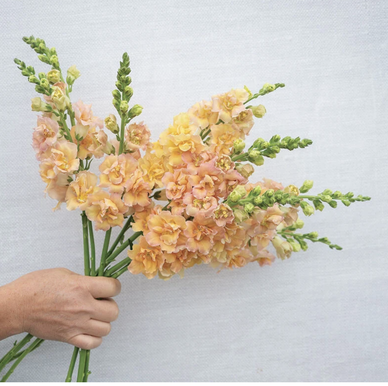 Individual Variety Bunches