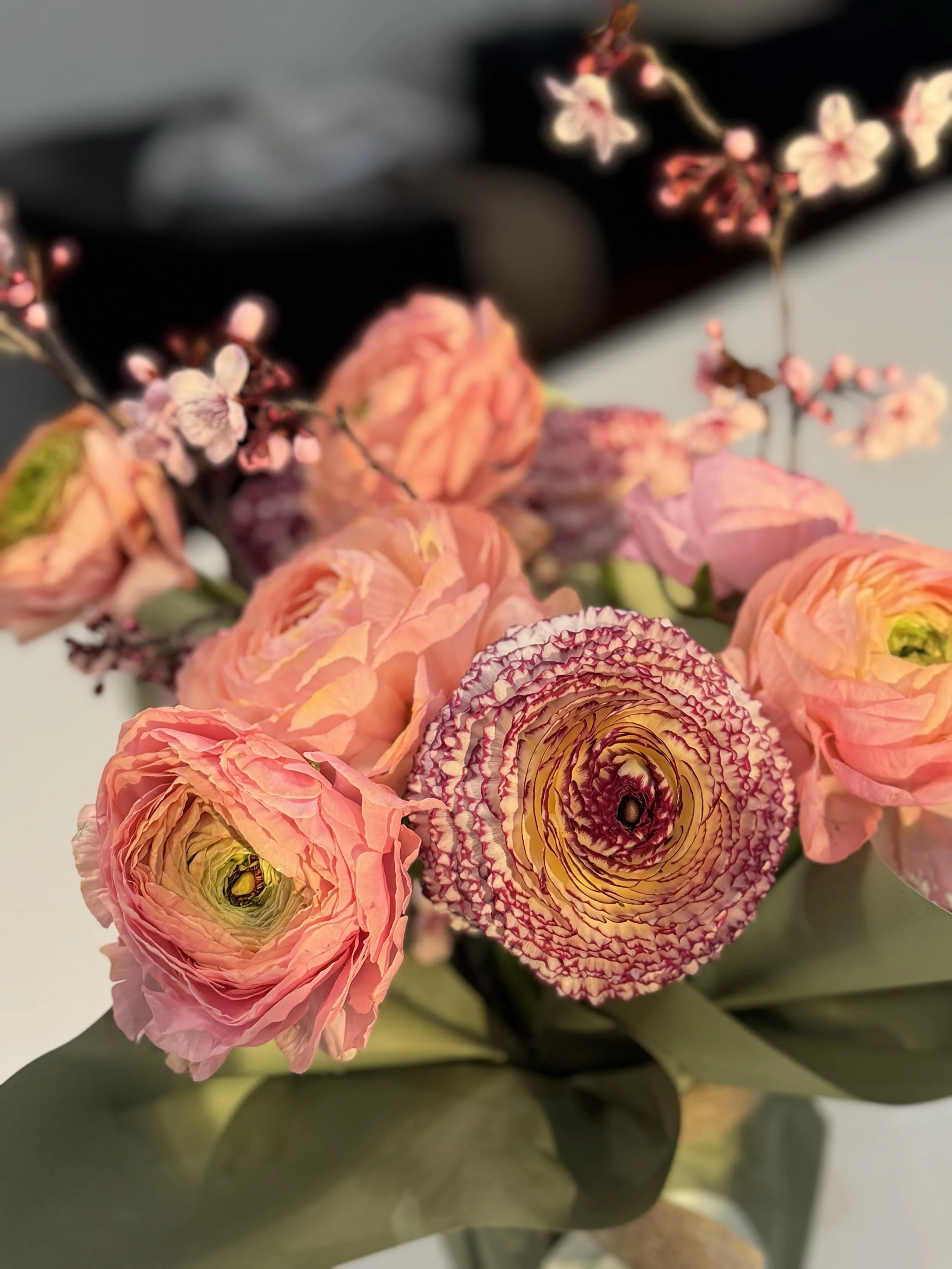 Spring Workshop - COMING SOON