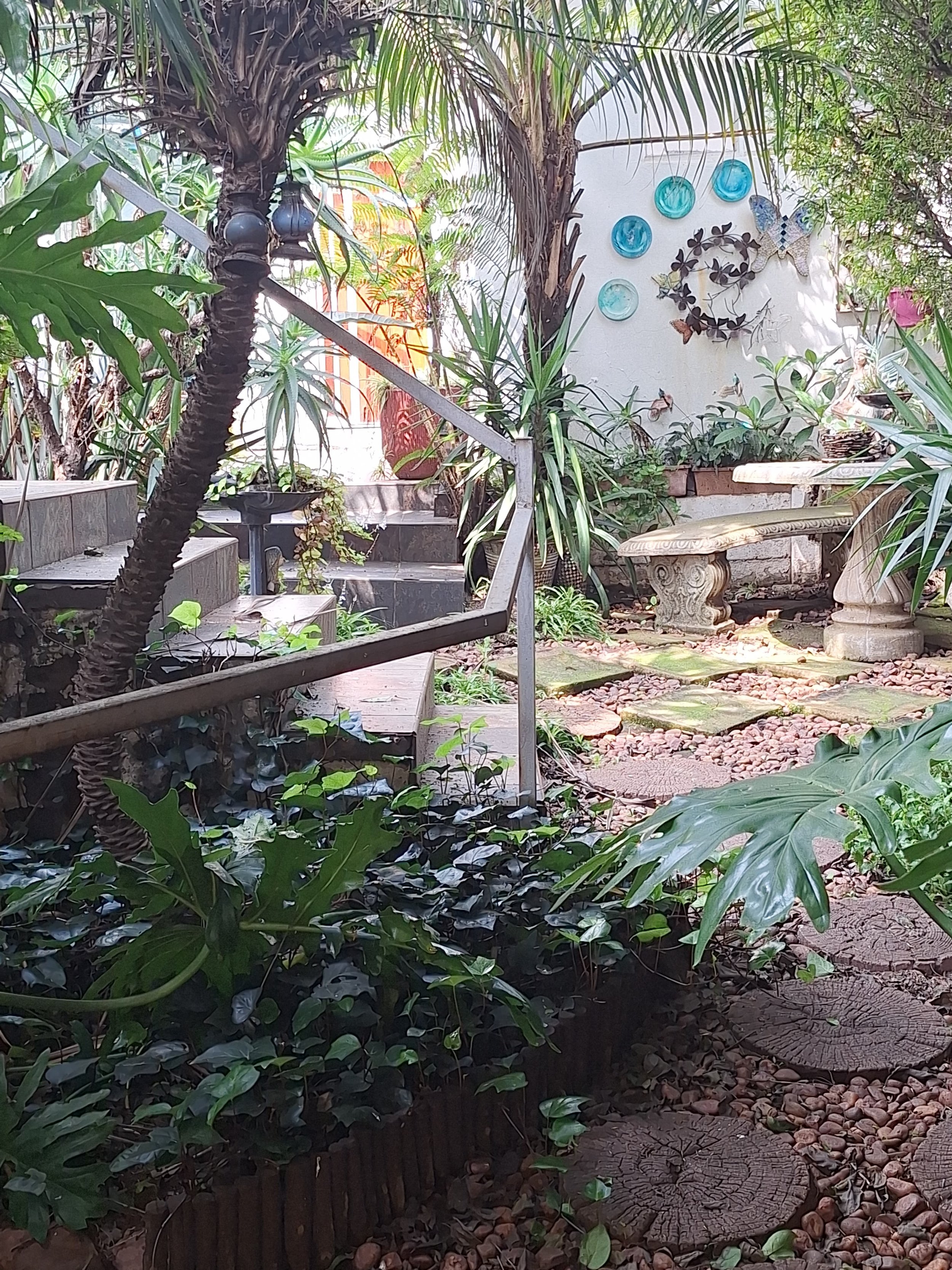 A lush garden with tropical plants, a staircase with metal railing, decorative glass plates on the wall, stone benches, and a large tree trunk with a cut surface visible in the foreground.
