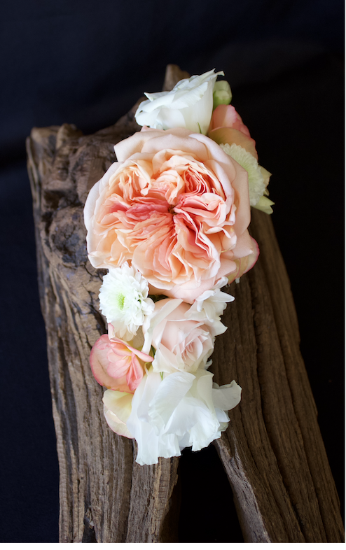 The Brooch — Le Broche Vivante