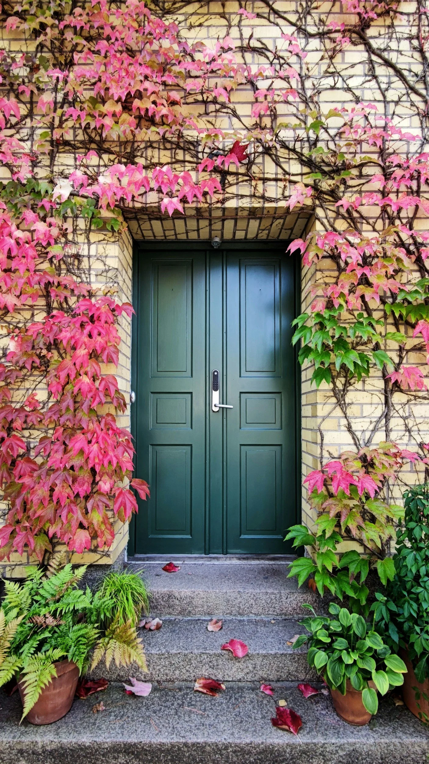 A green double door set into a brick wall, surrounded by pink and green ivy vines, with potted plants on the stone steps.