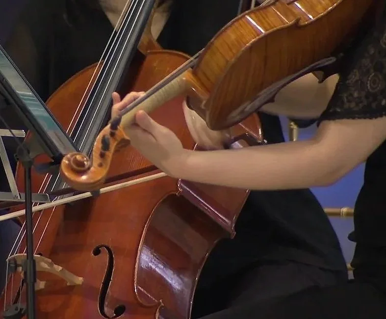 String musicians performing at a special event at the University of Sydney