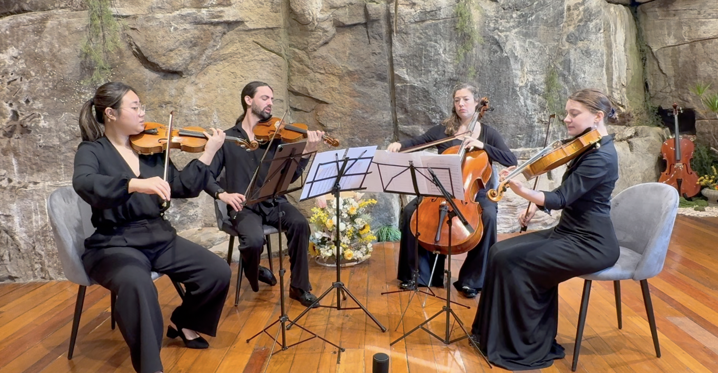String quartet dressed in black, performing in Sydney for a recording session