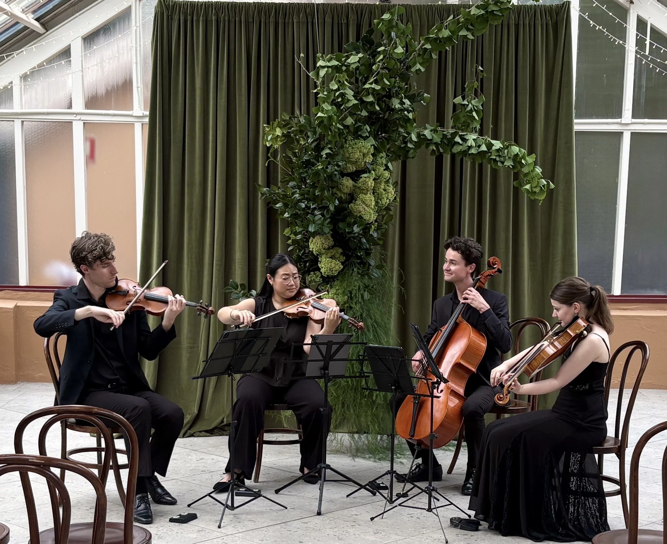 Pursuit 19 string quartet for wedding event in Sydney