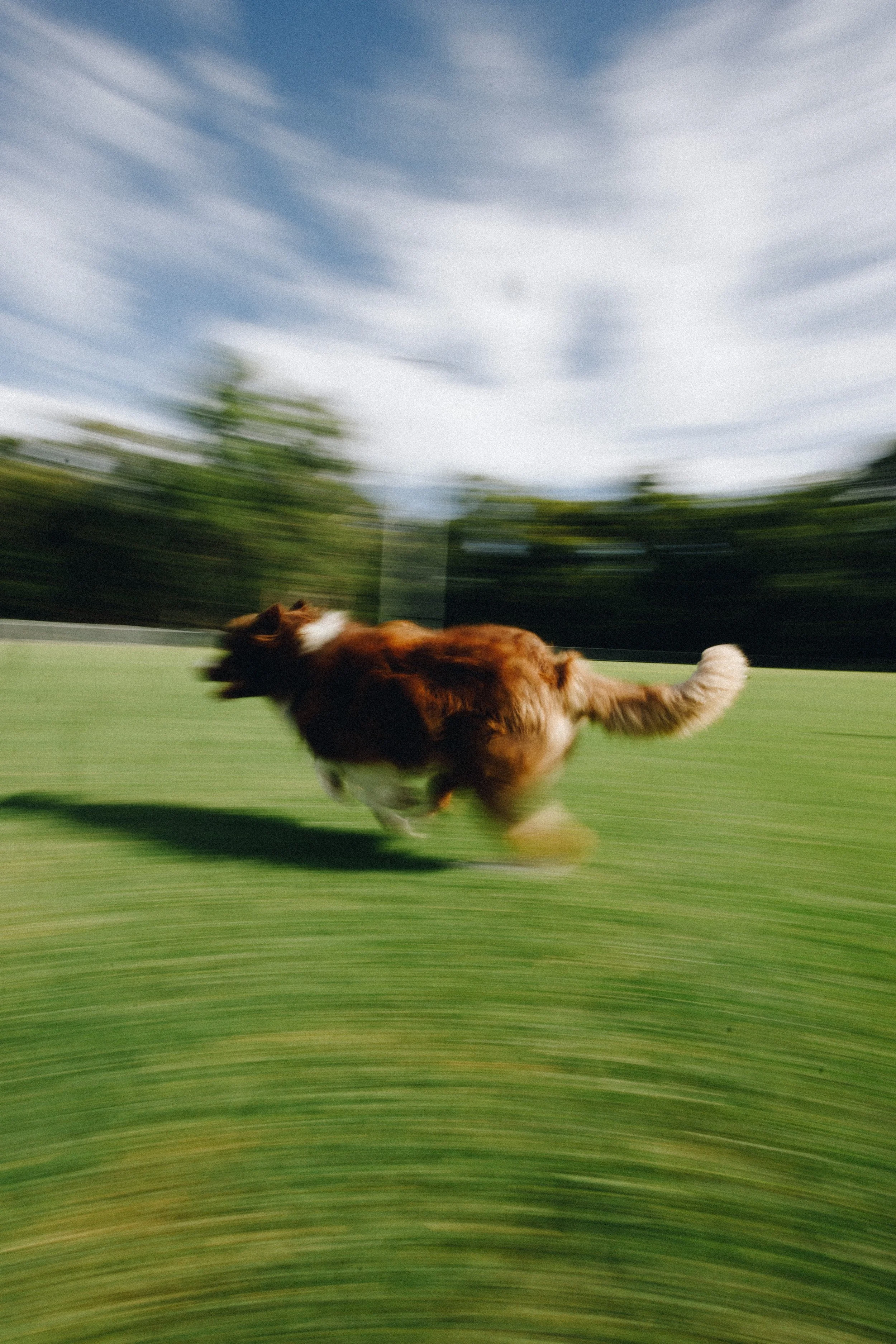 One-On-One Walkies
