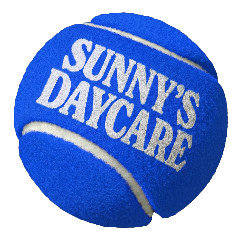 Sunny's Daycare