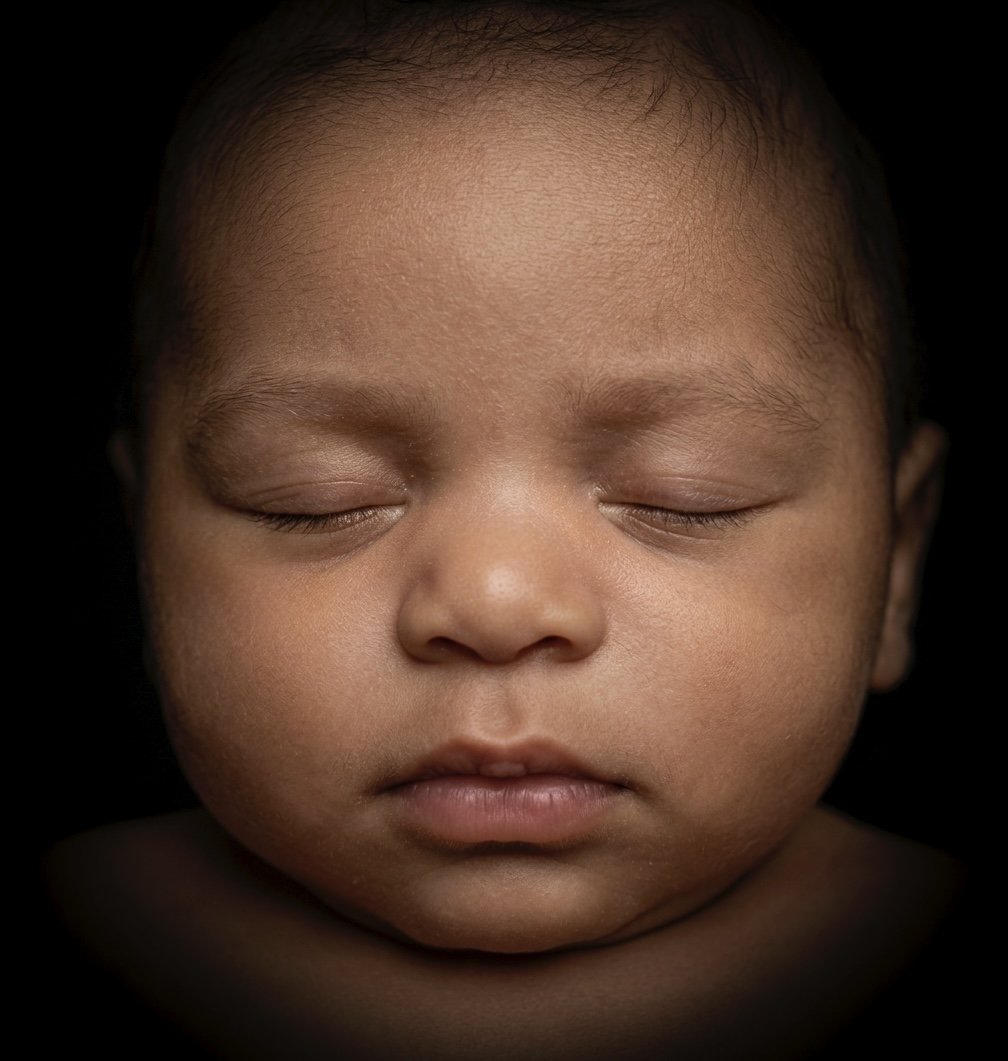34041 mulato.jpg