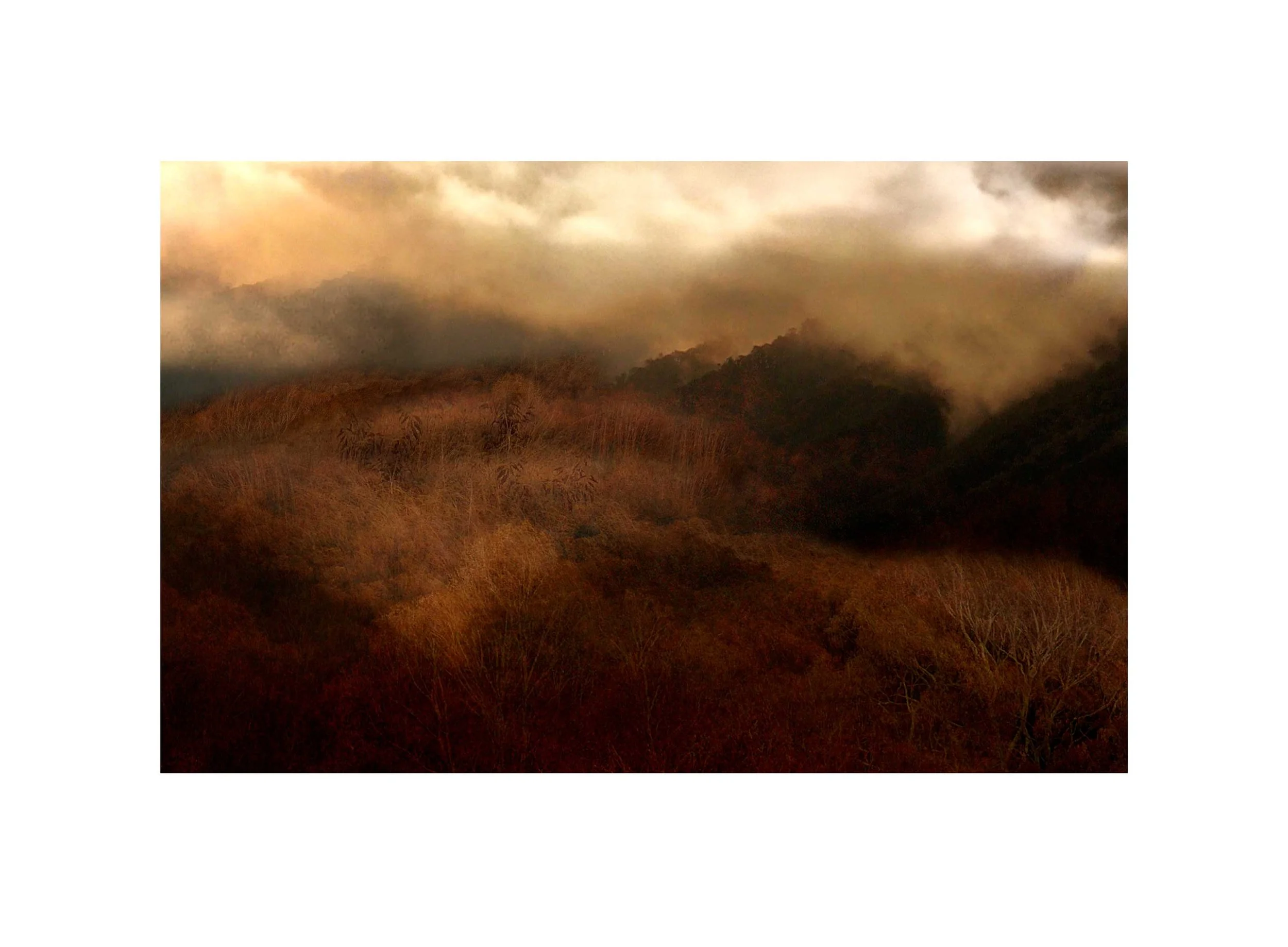 Hushed Haze