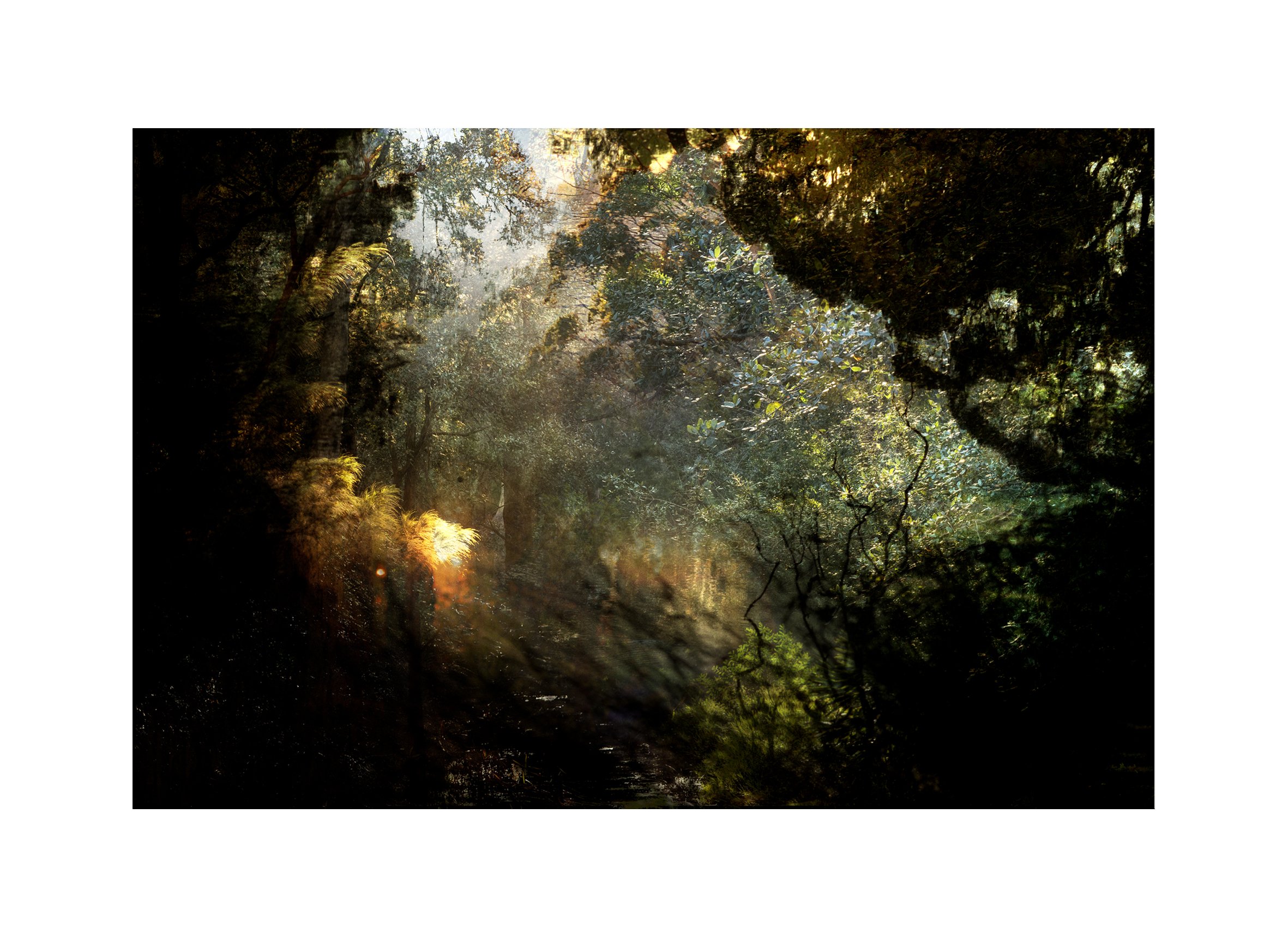 Descension 
