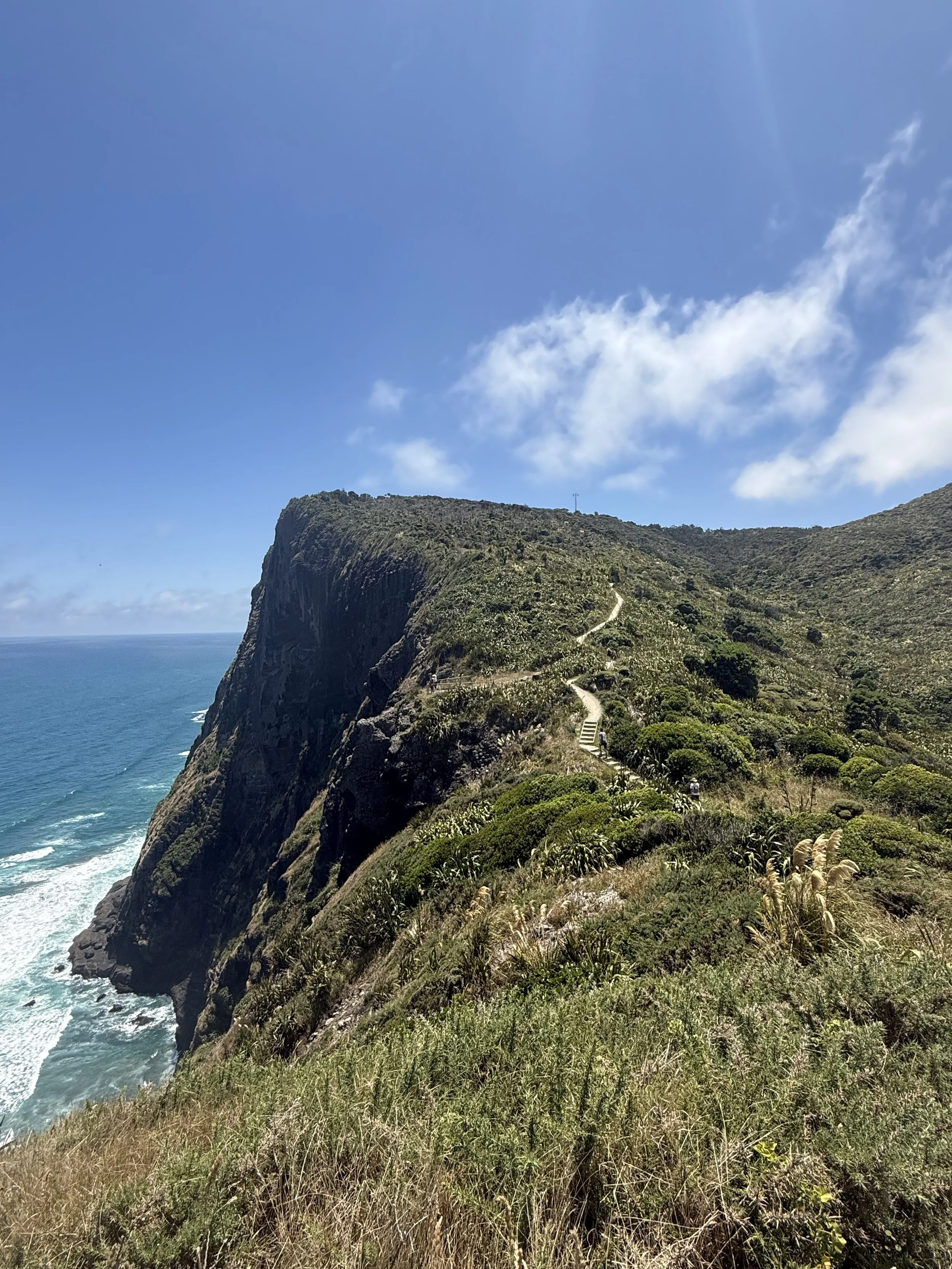 Mercer Bay Loop.