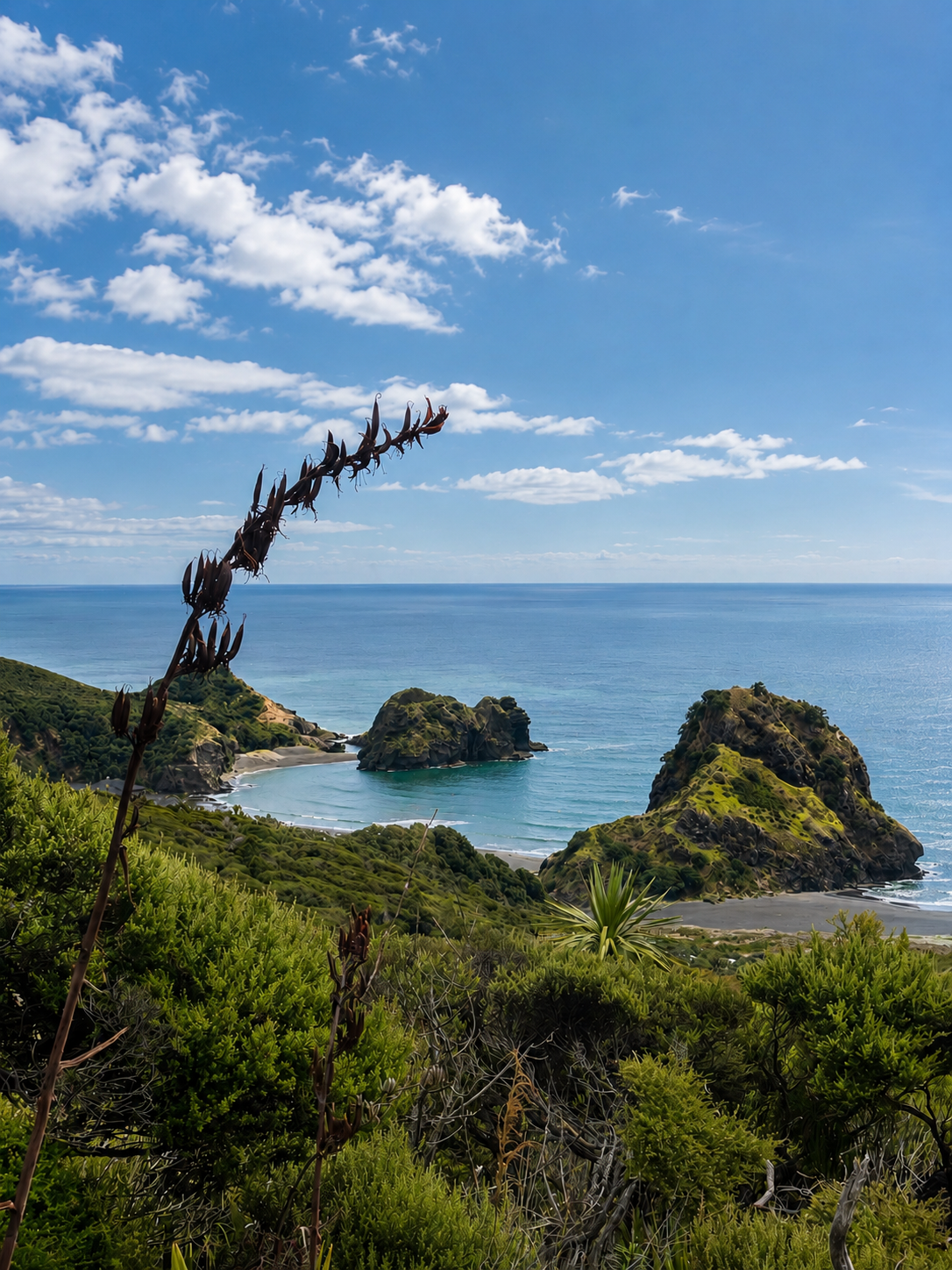 Maungaroa Ridge.