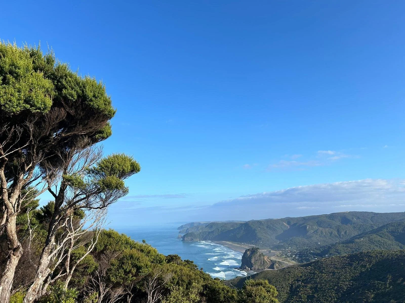 The story of Te Kawerau ā Maki.