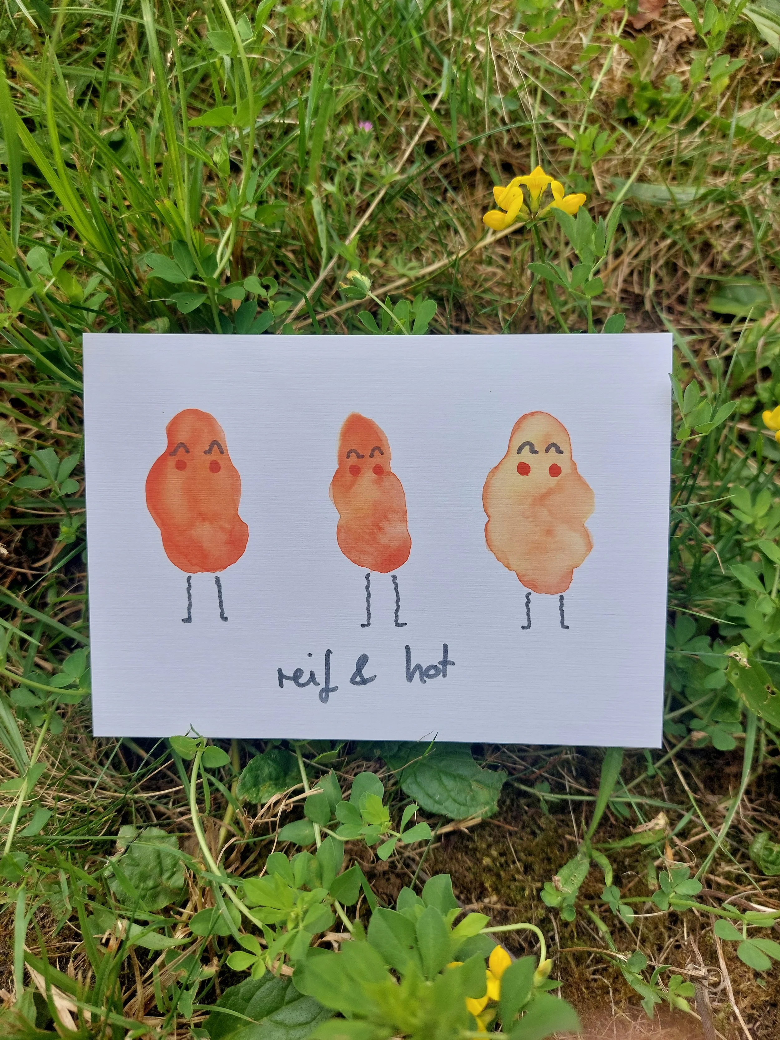 Postkarte "reif und hot"