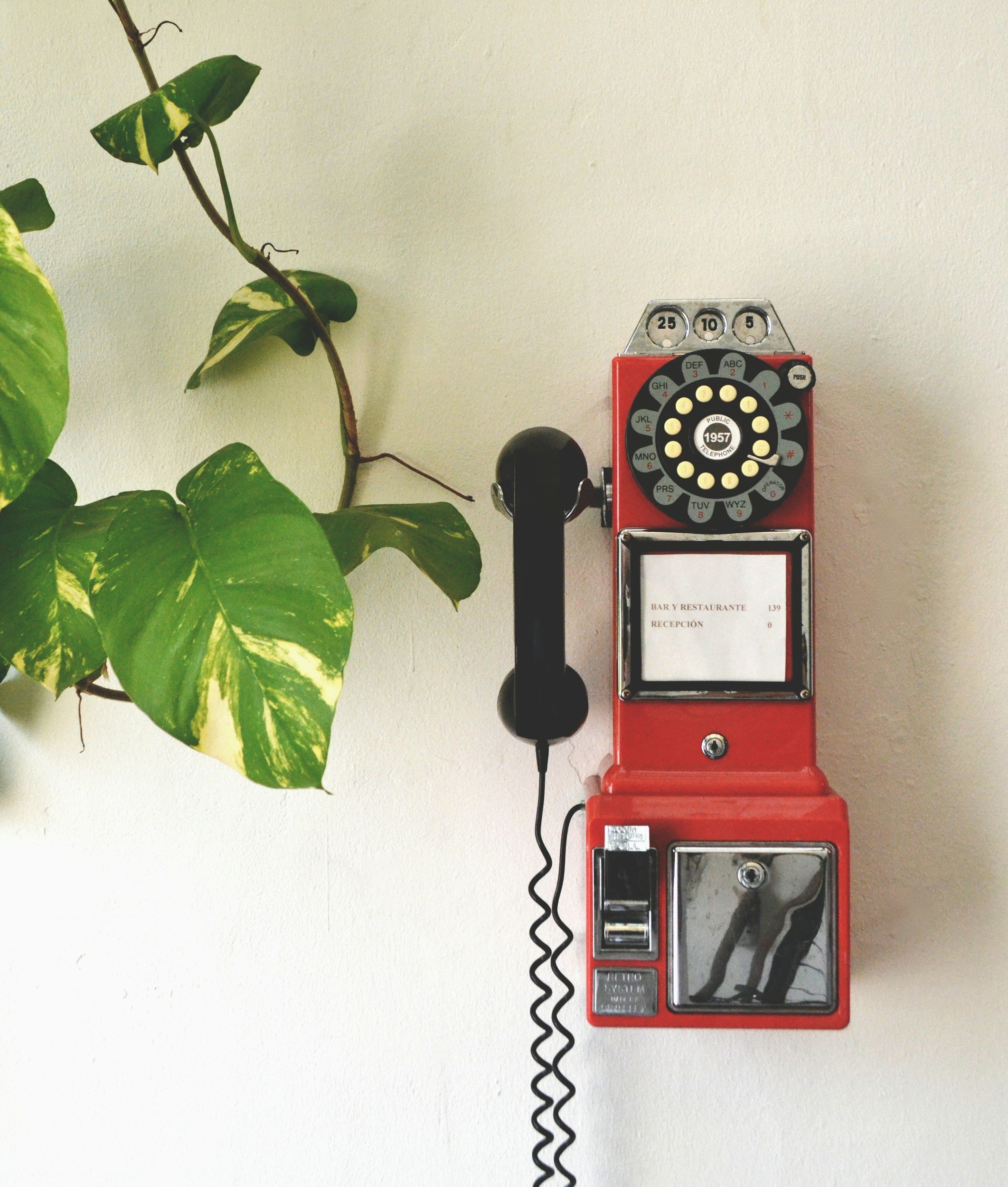 A vintage red rotary payphone mounted on a white wall next to a leafy green plant.