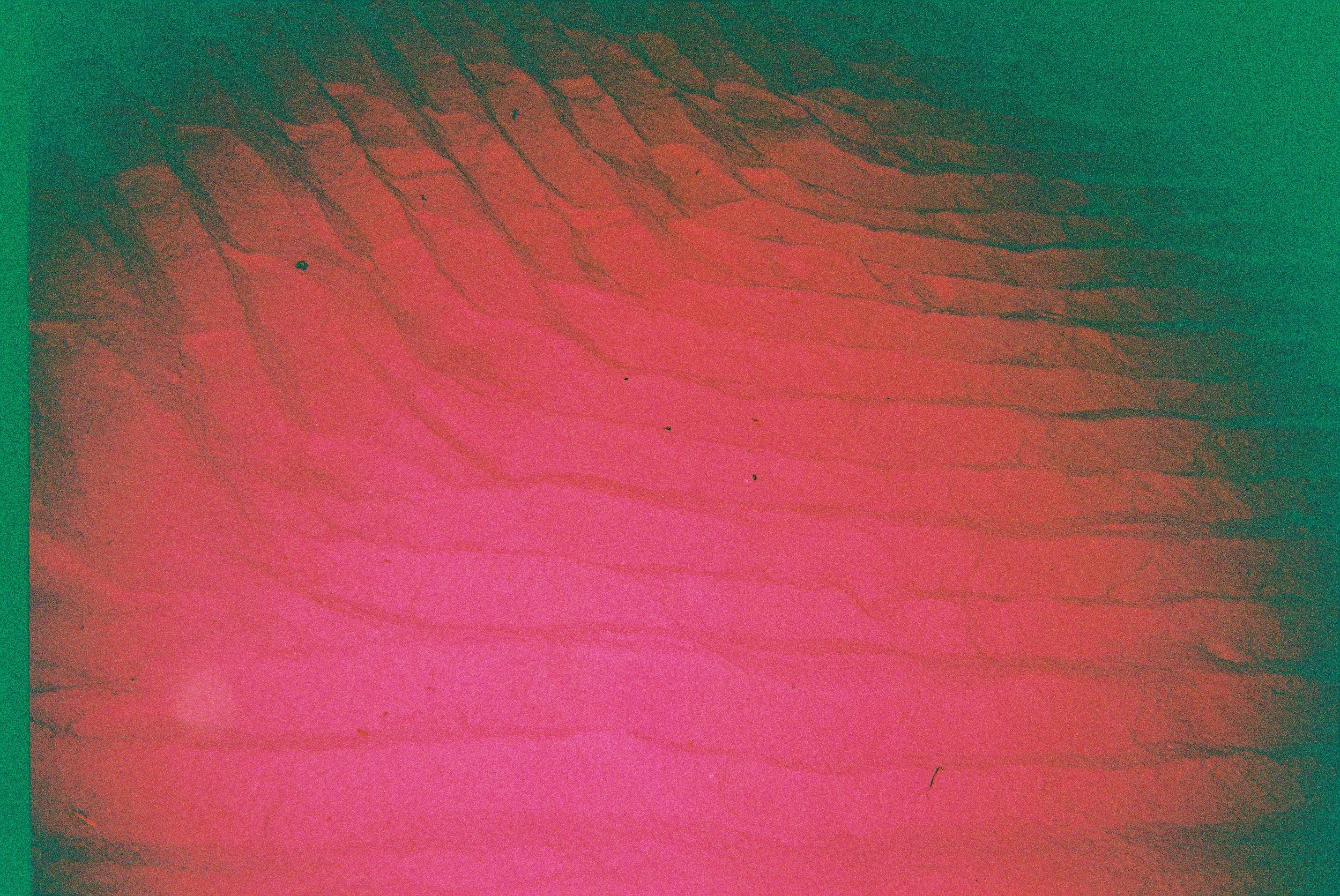 0563Feeley005699_002.jpg