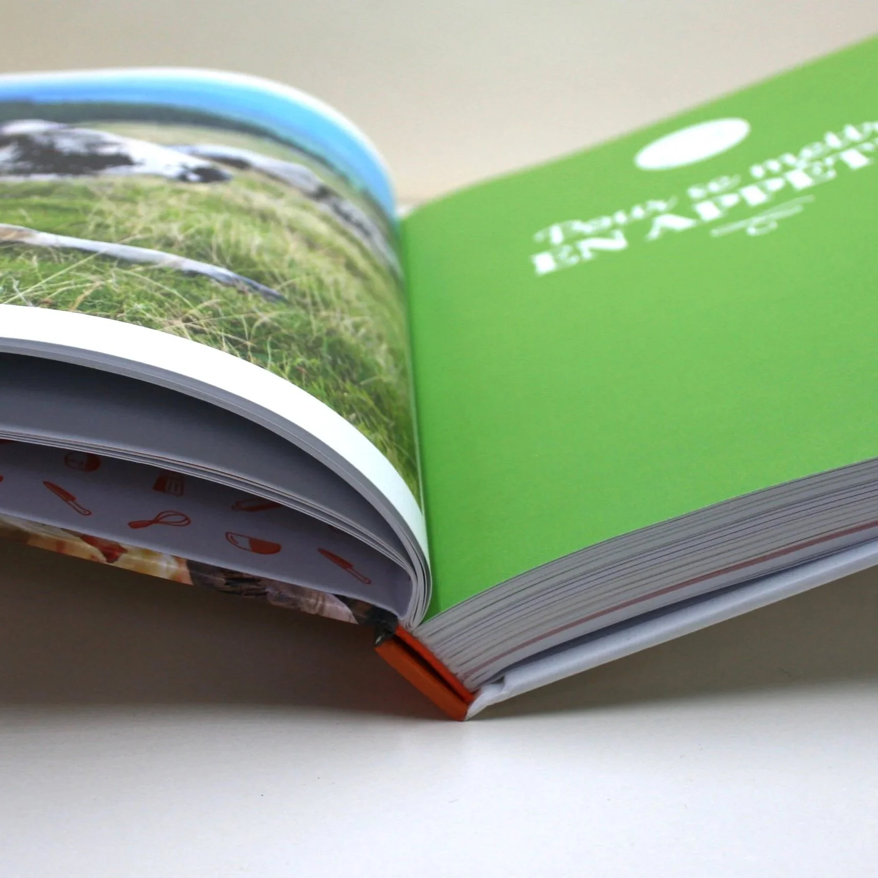 Un livre ouvert avec des images de nature et de nourriture, sur une surface blanche.