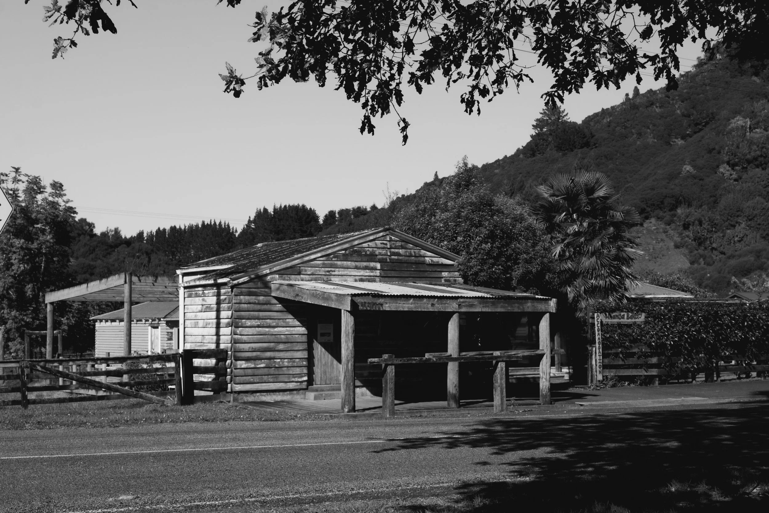 DSCF1318.jpg