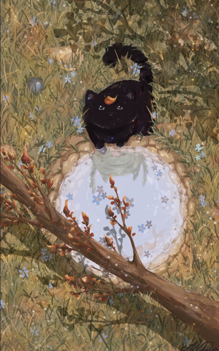 A black cat with a fallen leaf on its forehead sitting on a tree stump in a grassy area with wildflowers, viewed from above.