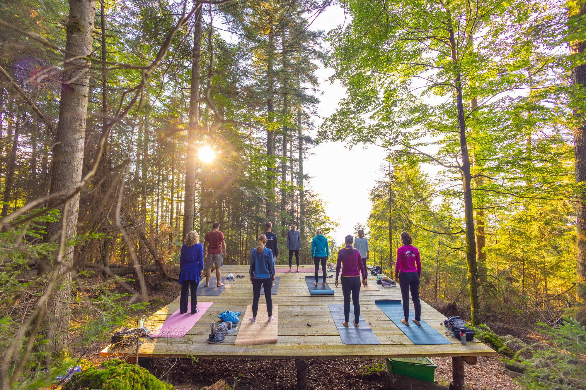 waldyoga-gruppe-abendsonne.JPG