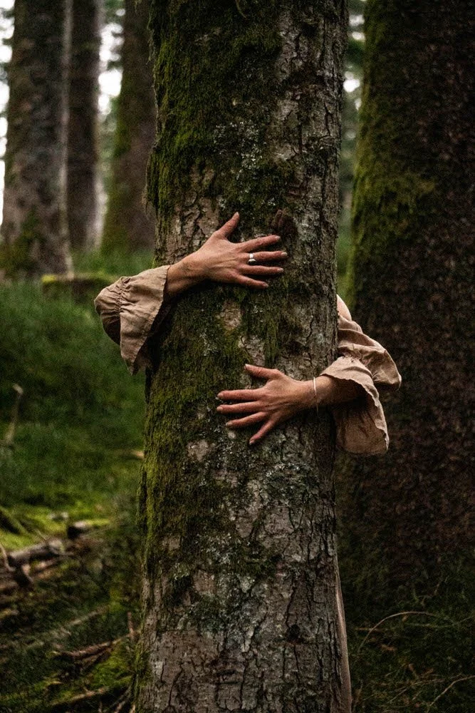 Zwei Hände, die ein Baumstamm im Wald umarmen, sichtbar durch eine Lücke zwischen den Bäumen.