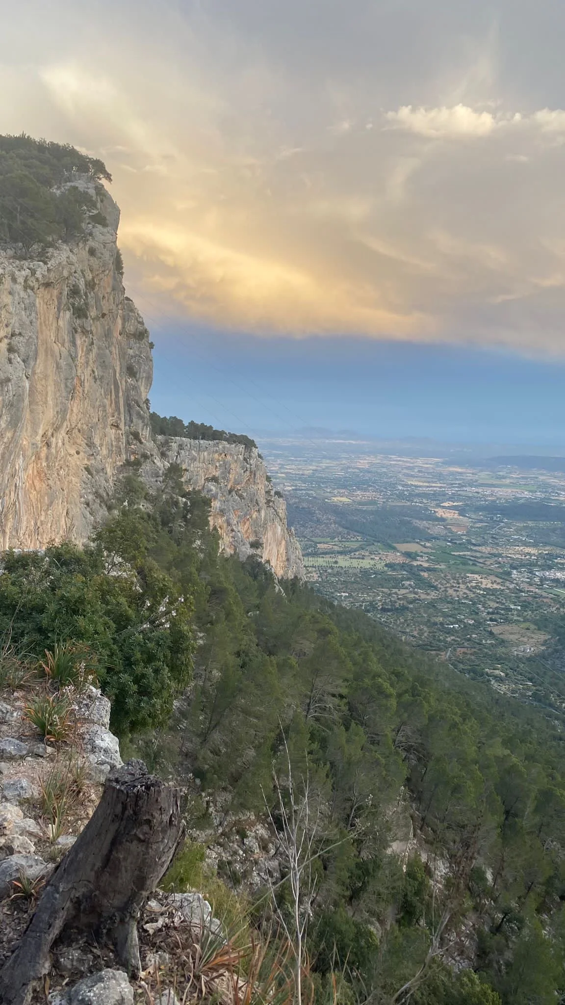 Scenic view of a mountain slope with trees, rocky cliffs, and a distant valley under a cloudy sky during sunset.