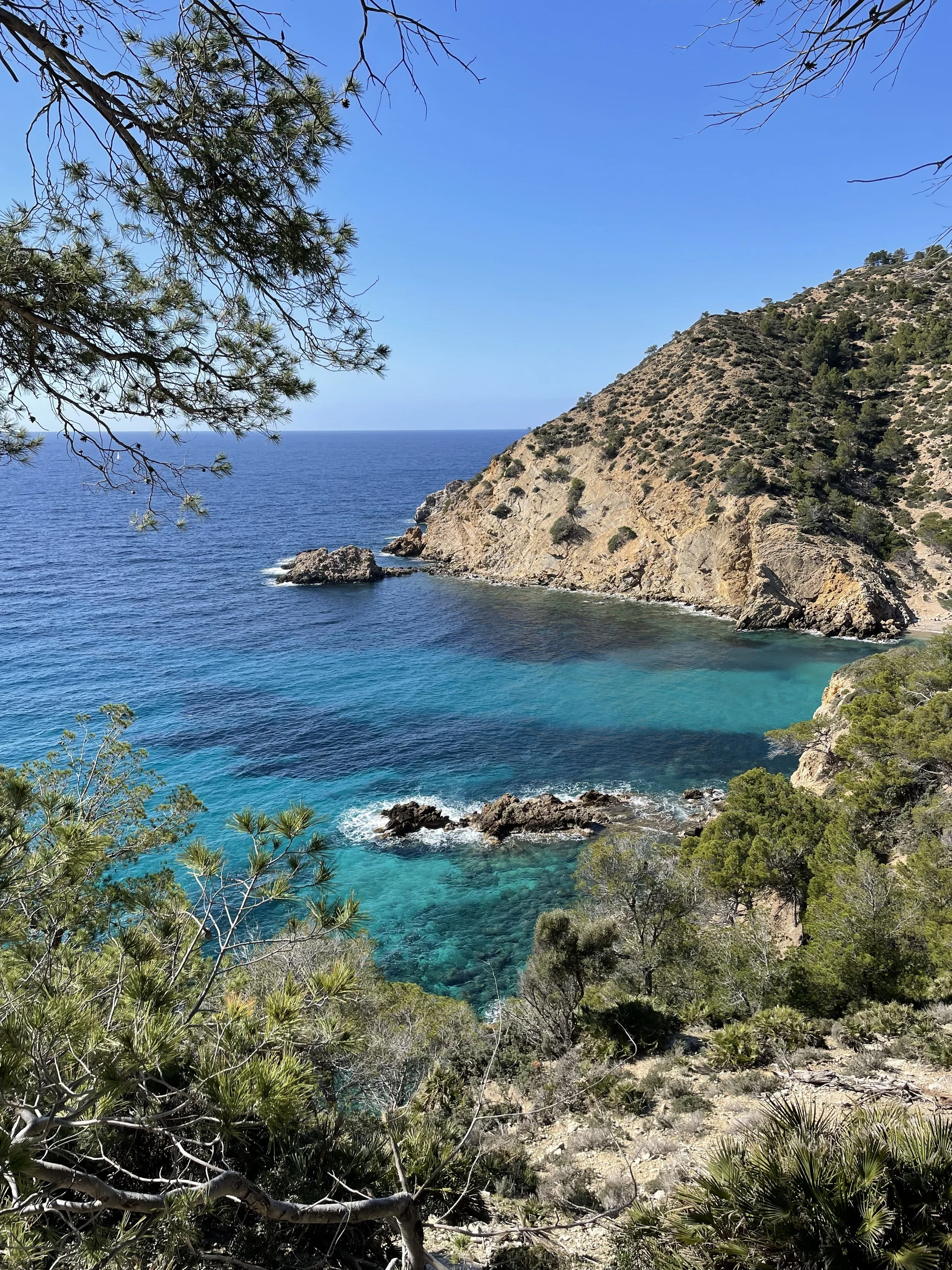 A coastal landscape with blue ocean water, rocky cliffs, and green vegetation, with trees framing the scene under a clear blue sky.