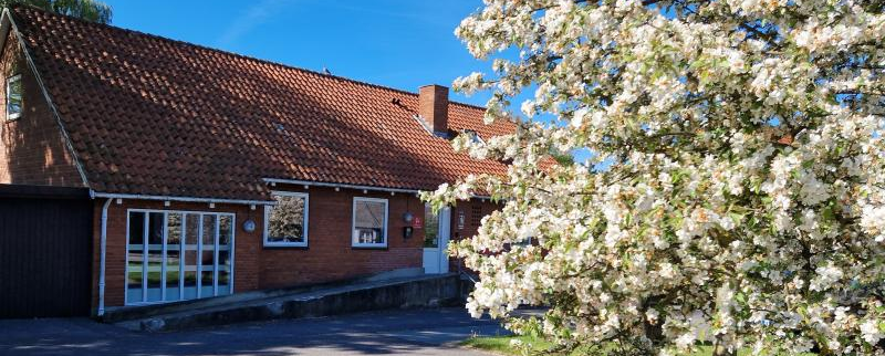 Samtalesalon om døden