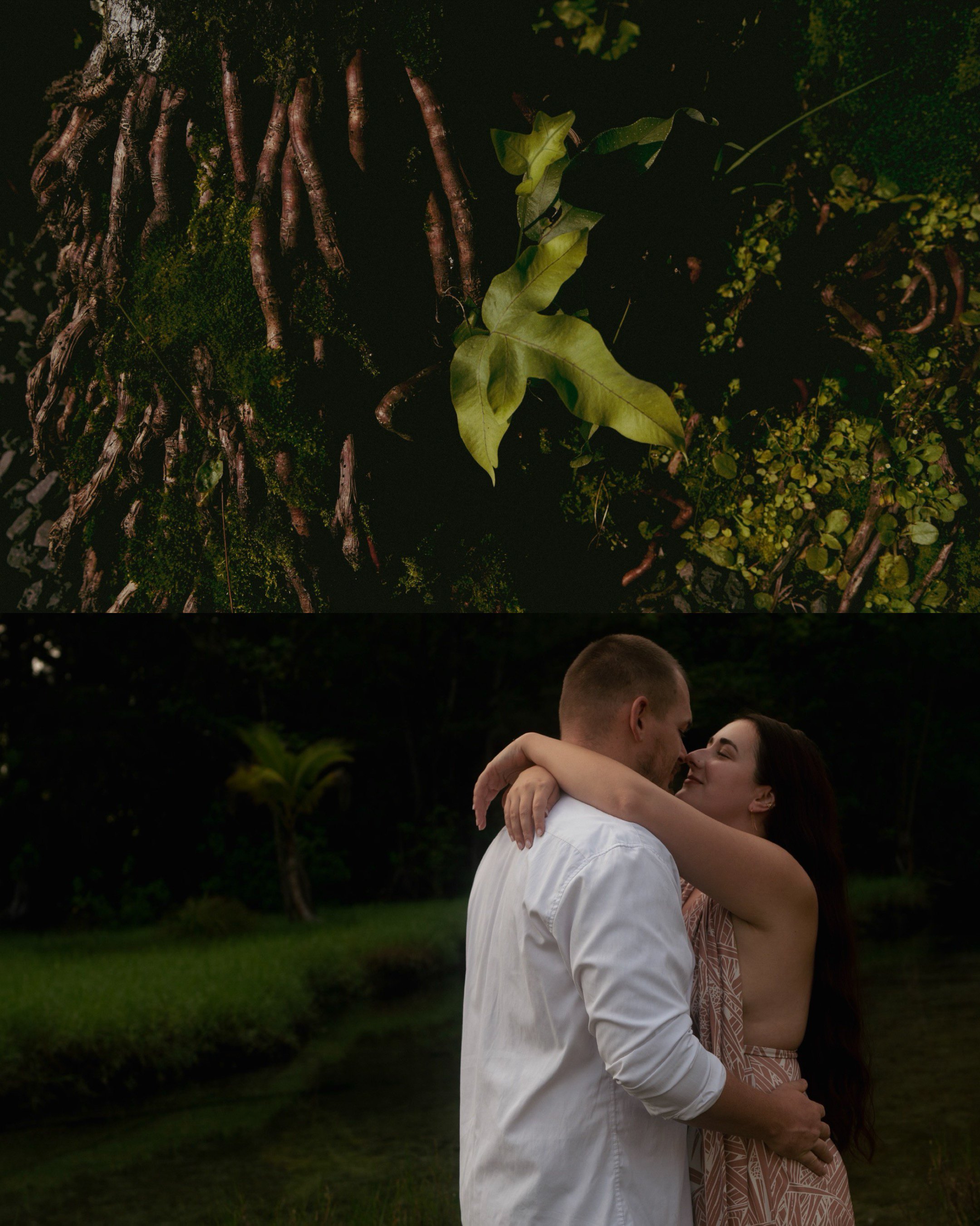 IMG_4571.jpeg