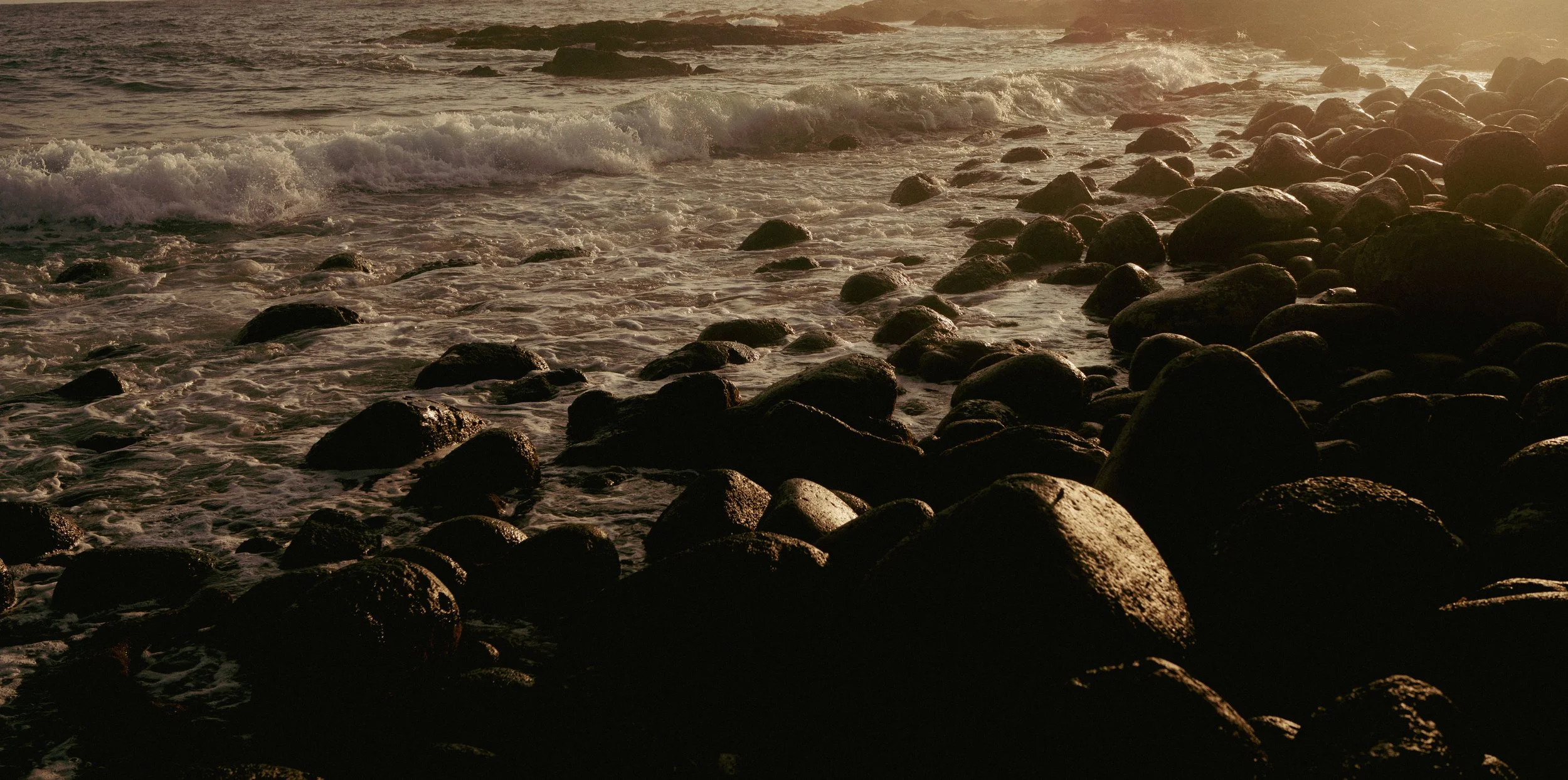 DSC01242.jpeg