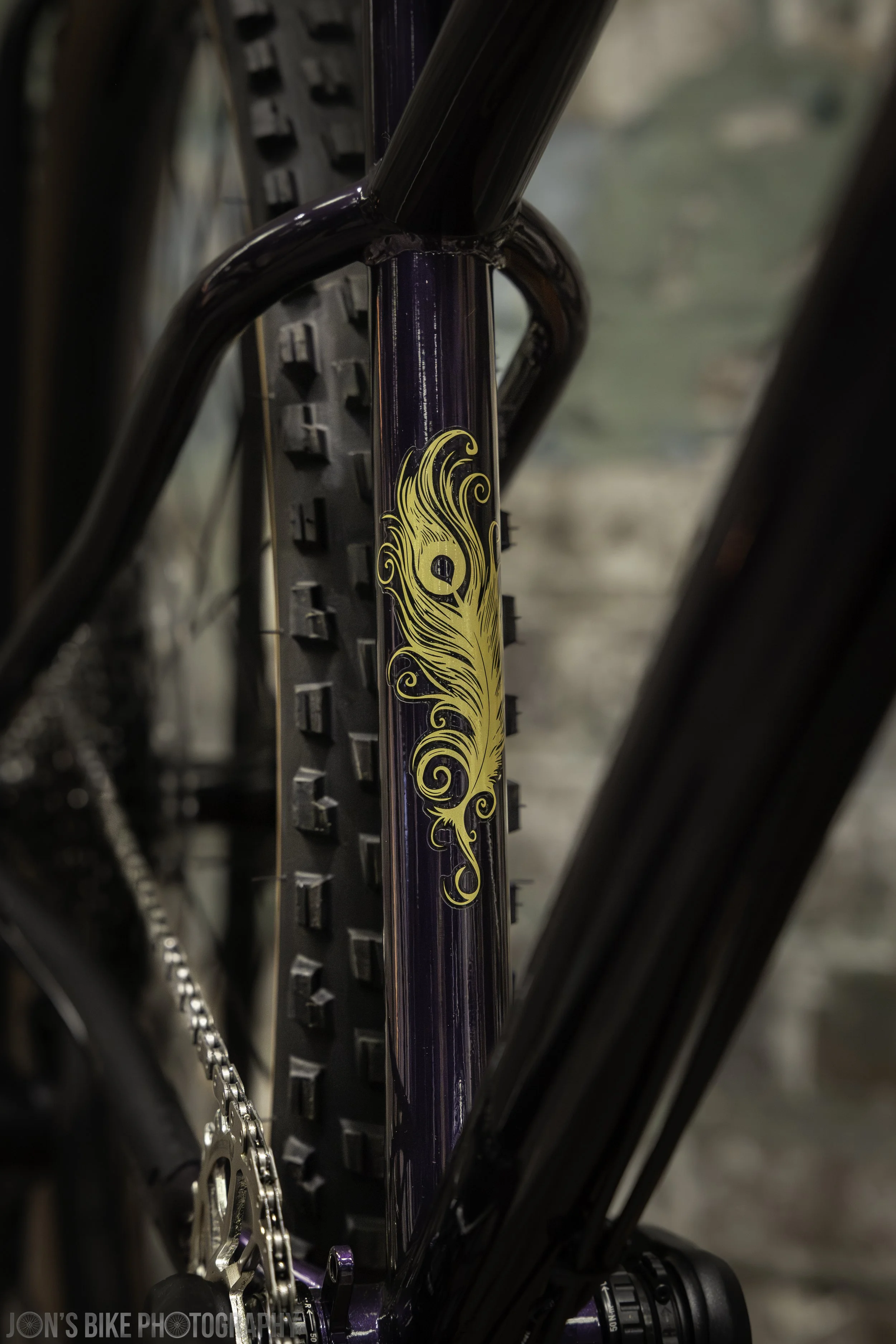 Surly_Spoken-20260620-04.jpg