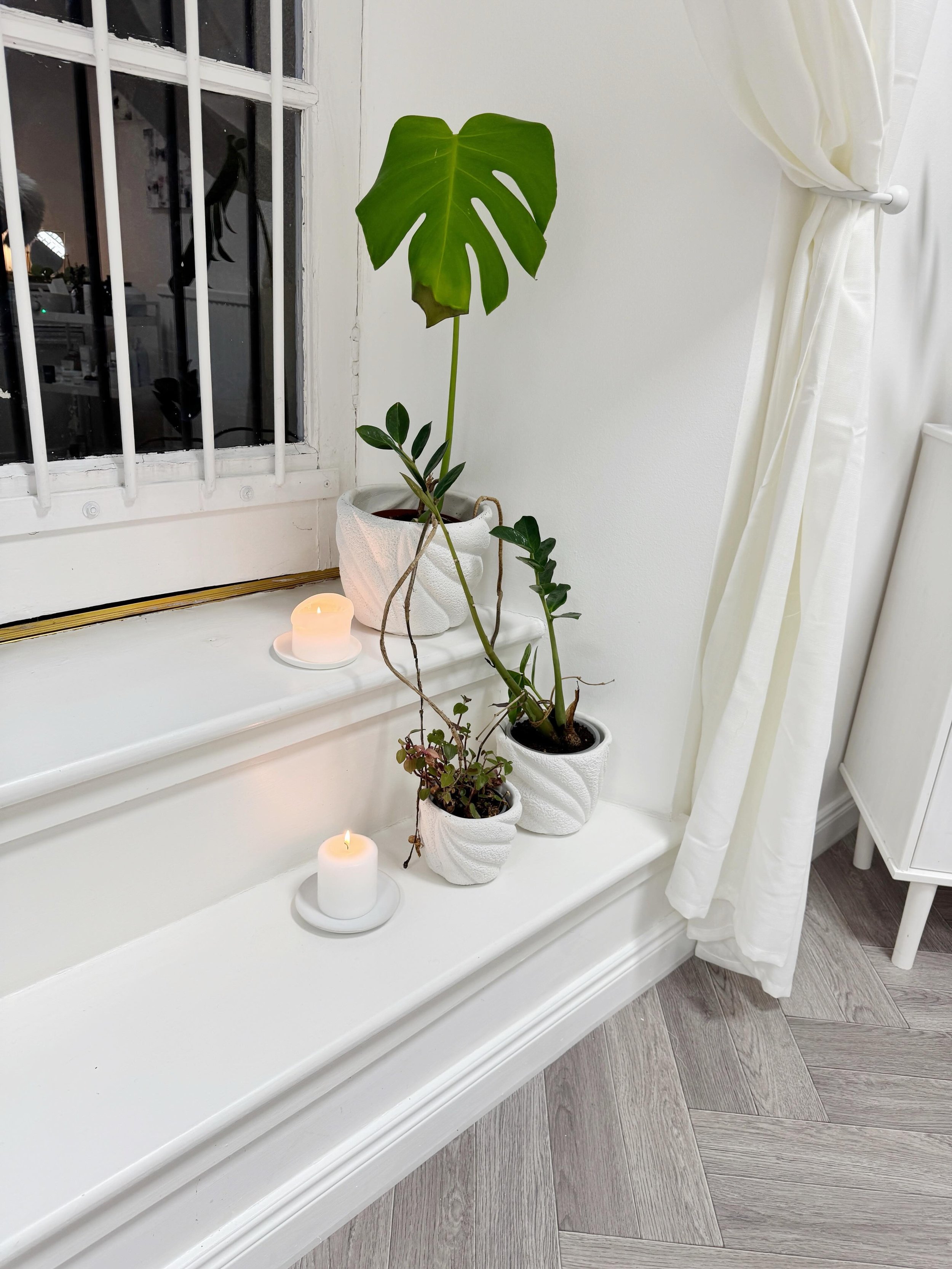 🌿

#aberdeen #aberdeensalon #salonaberdeen #nailsaberdeen #aberdeennails